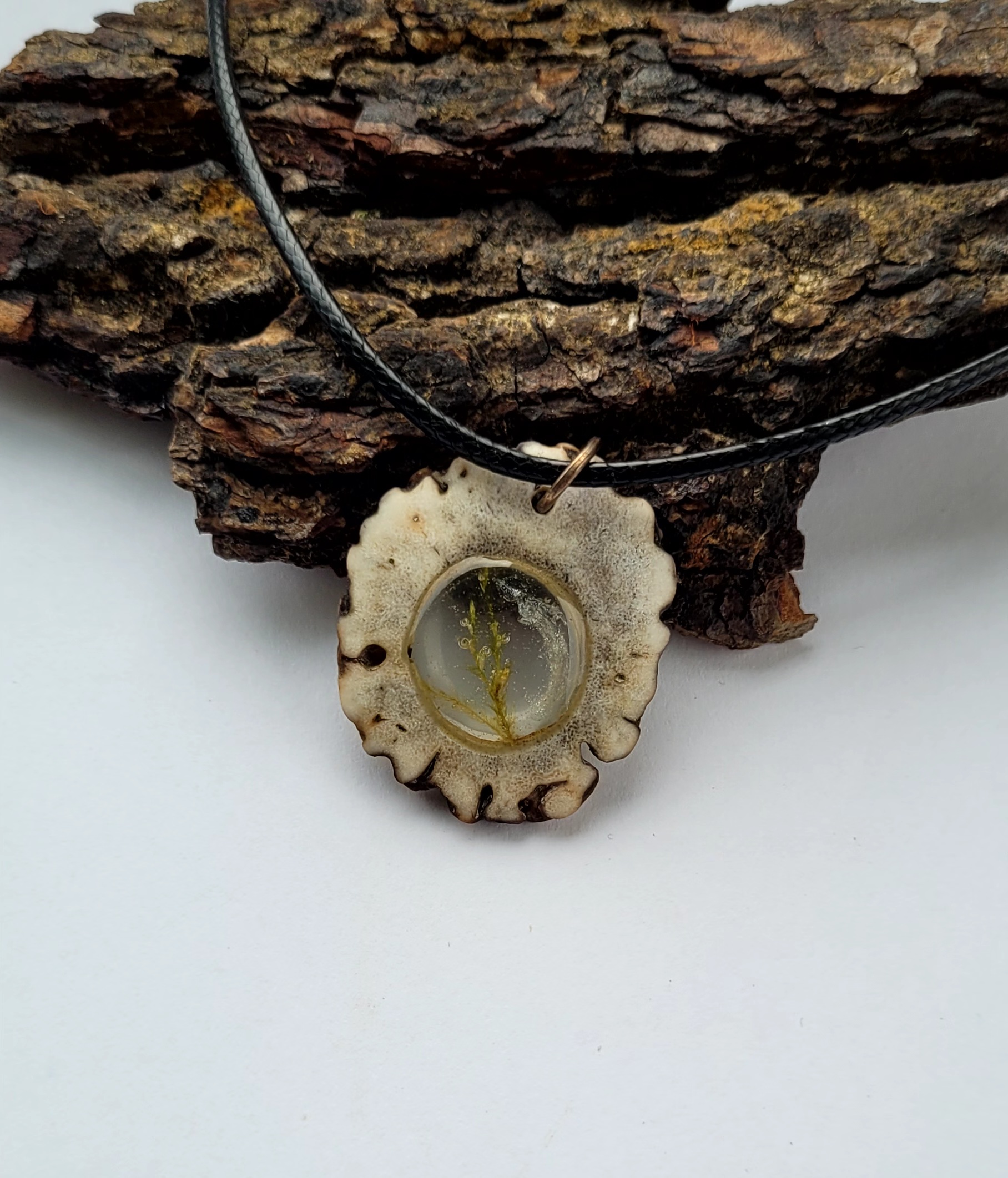 Kaklo papuošalas / Necklace