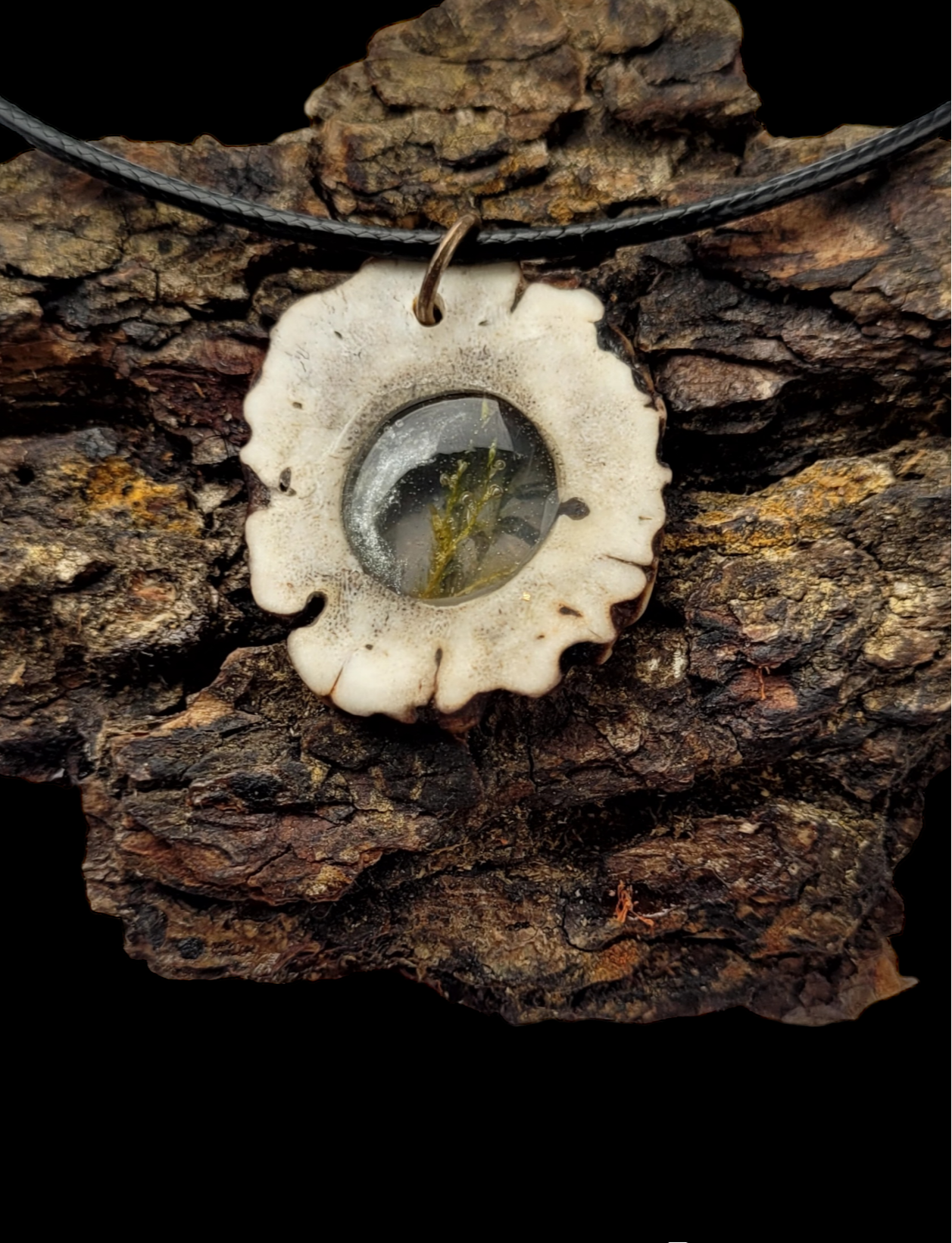 Kaklo papuošalas / Necklace