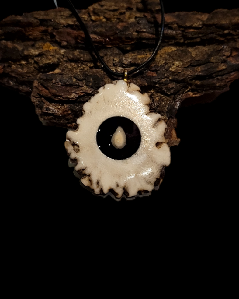 Kaklo papuošalas / Necklace