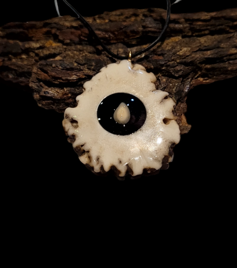 Kaklo papuošalas / Necklace