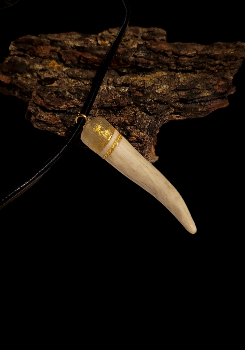 Kaklo papuošalas / Necklace