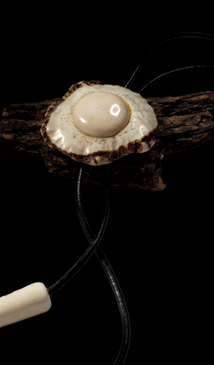 Kaklo papuošalas / Necklace
