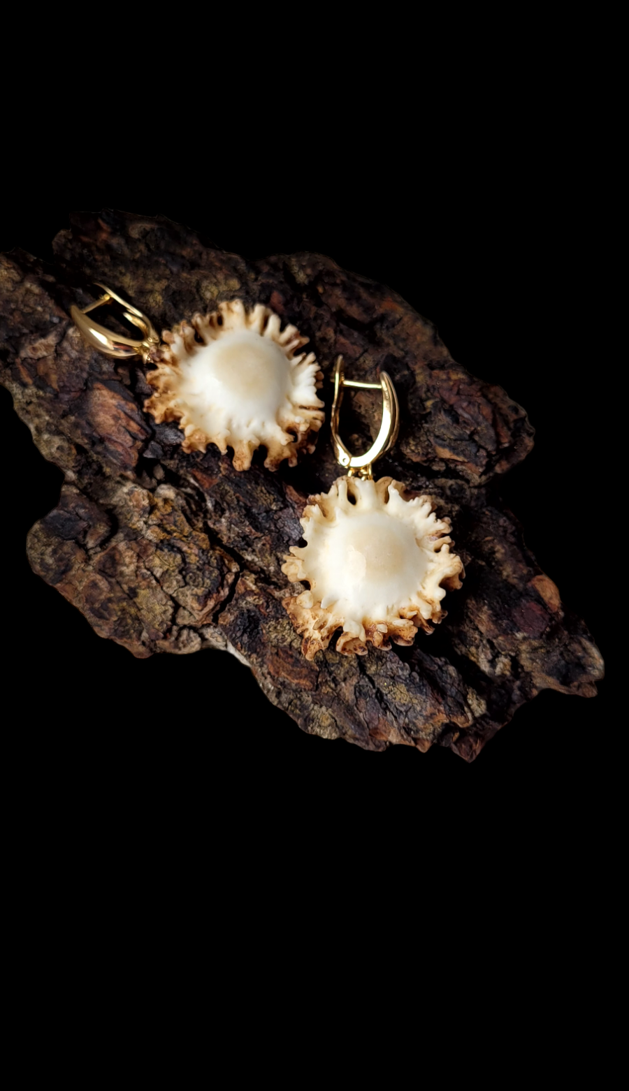 Auskarai iš stirnino rago rožės / Earrings of doe antler ,,roes"