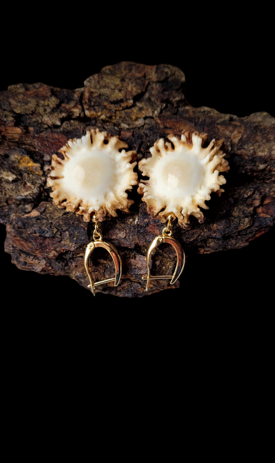 Auskarai iš stirnino rago rožės / Earrings of doe antler ,,roes"