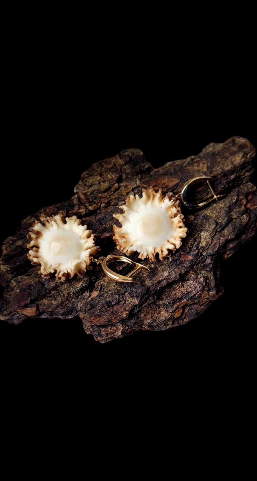 Auskarai iš stirnino rago rožės / Earrings of doe antler ,,roes"