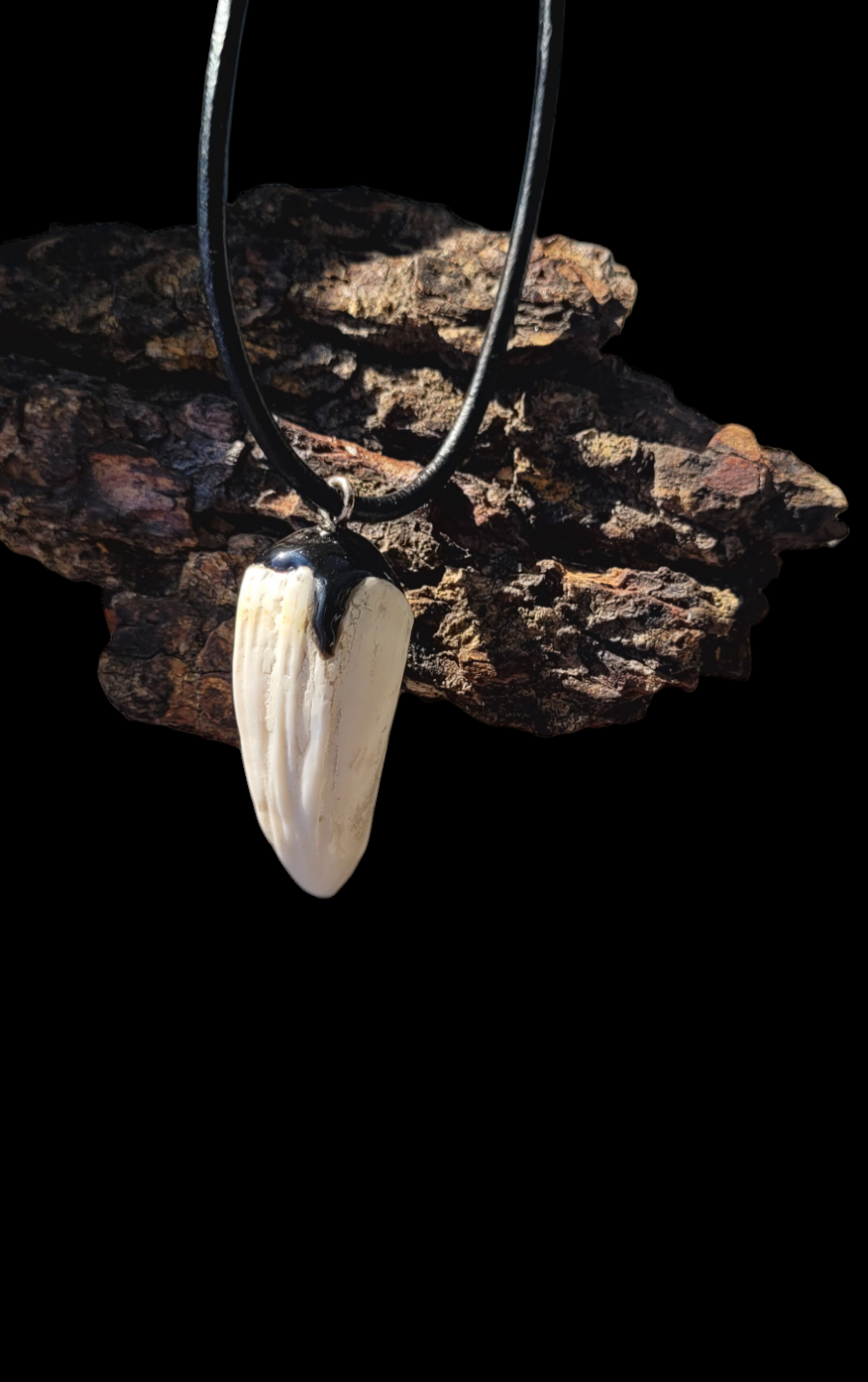 Kaklo papuošalas / Necklace