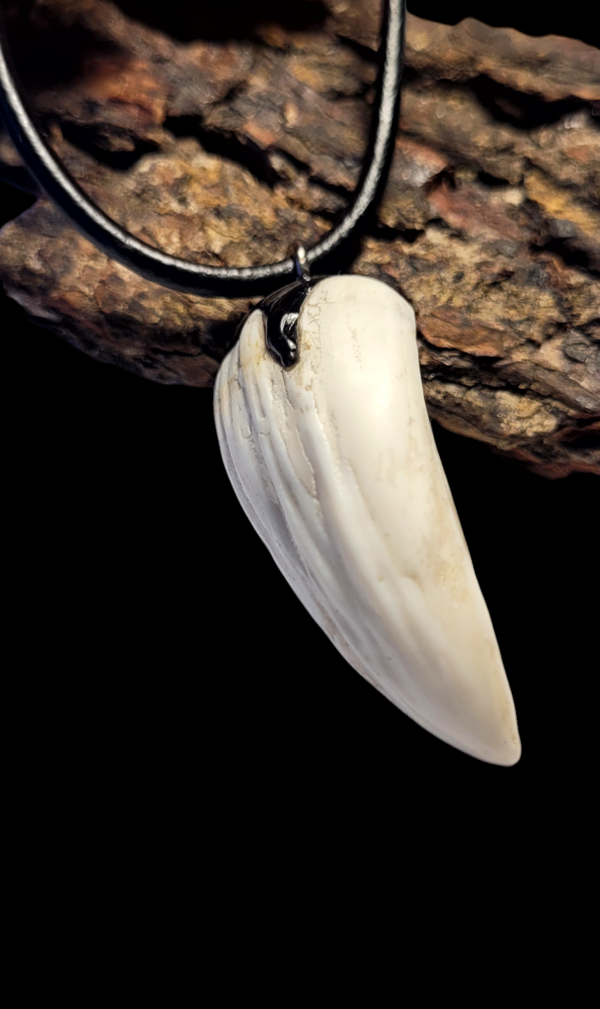 Kaklo papuošalas / Necklace
