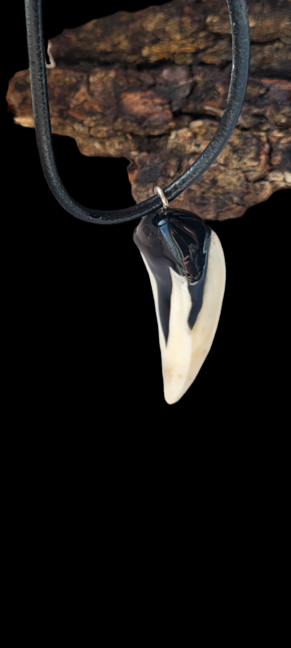 Kaklo papuošalas / Necklace