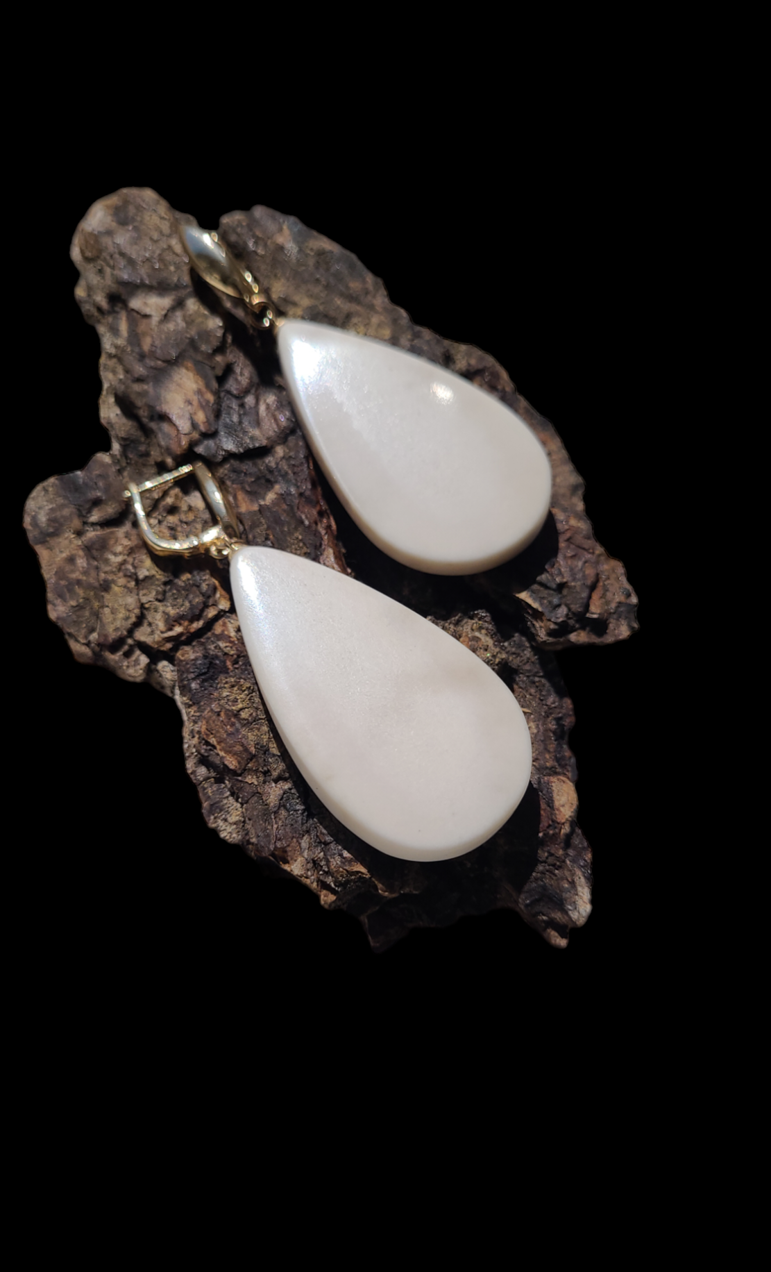 Auskarai iš briedžio rago / Moose antler earrings