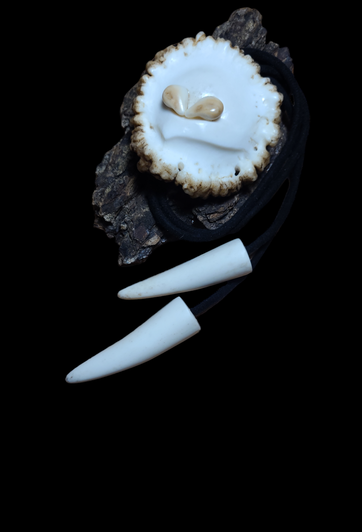 Kaklajuostė iš tauriojo elnio rago / Necktie of red deer antler 