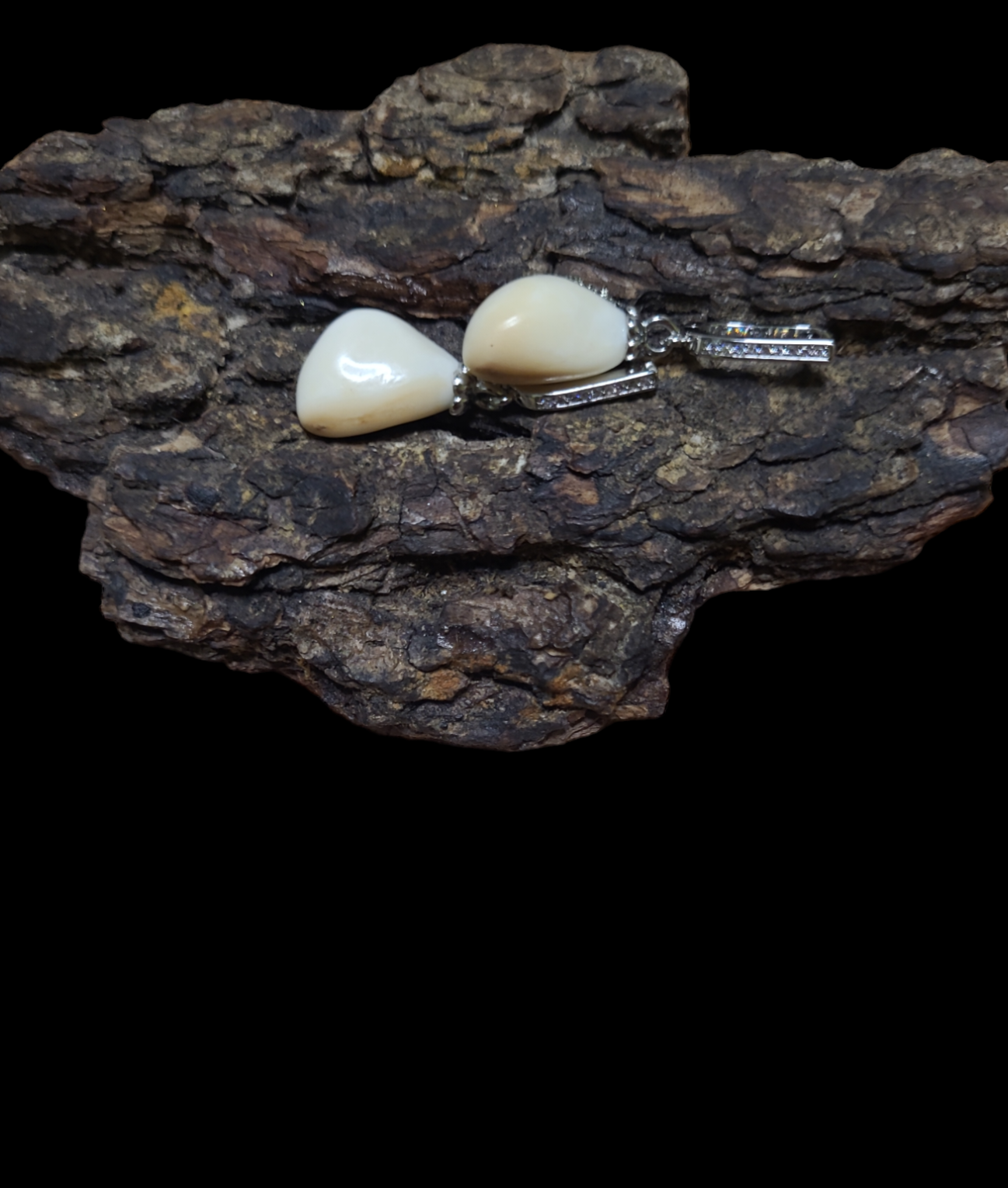 Auskarai iš tauriojo elnio dantų ,,perlų" / Earrings of red deer teeth ,,pearls"