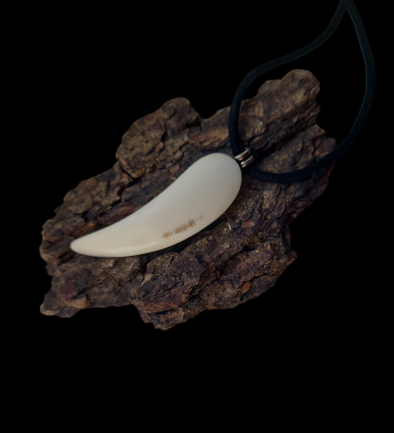 Kaklo papuošalas iš šerno ilties / Necklace of boar's tusk