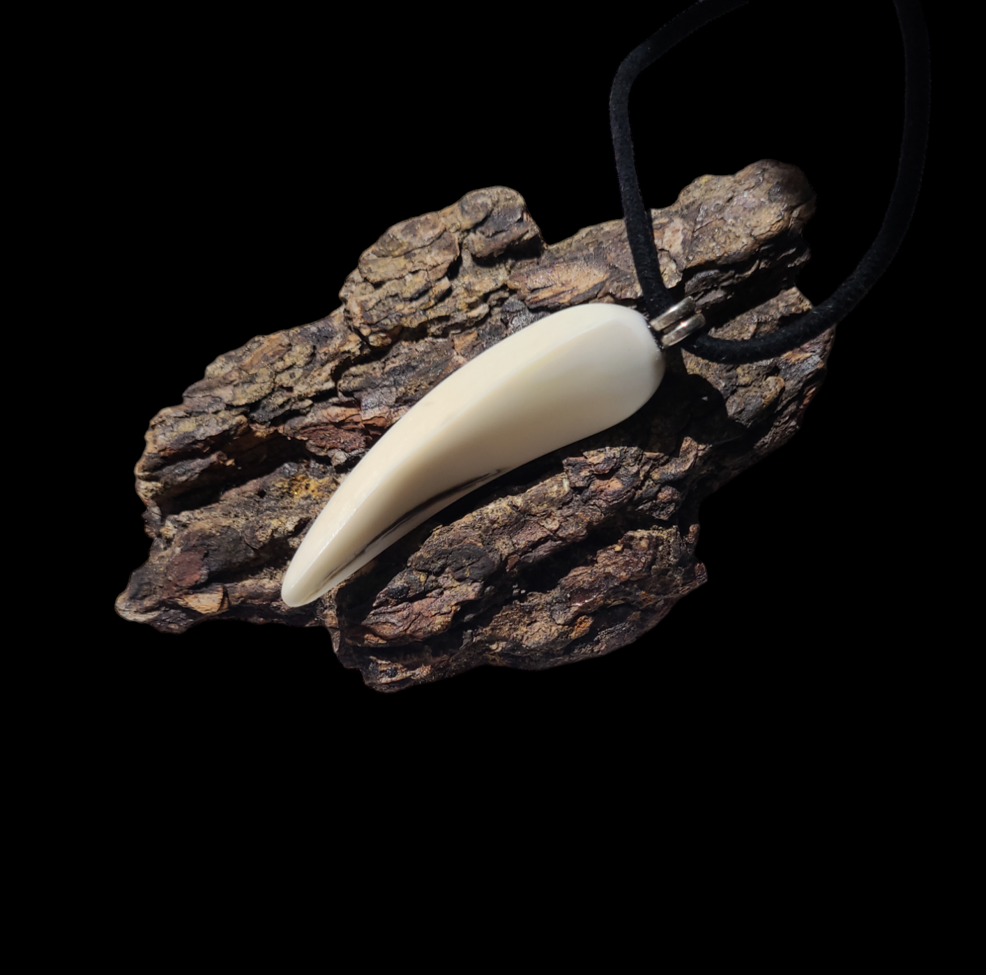 Kaklo papuošalas iš šerno ilties / Necklace of boar's tusk