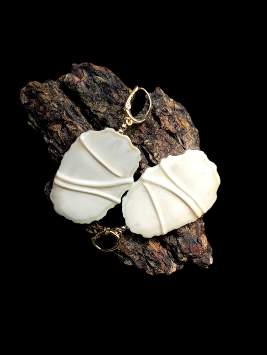 Auskarai iš briedžio rago / Moose antler earrings