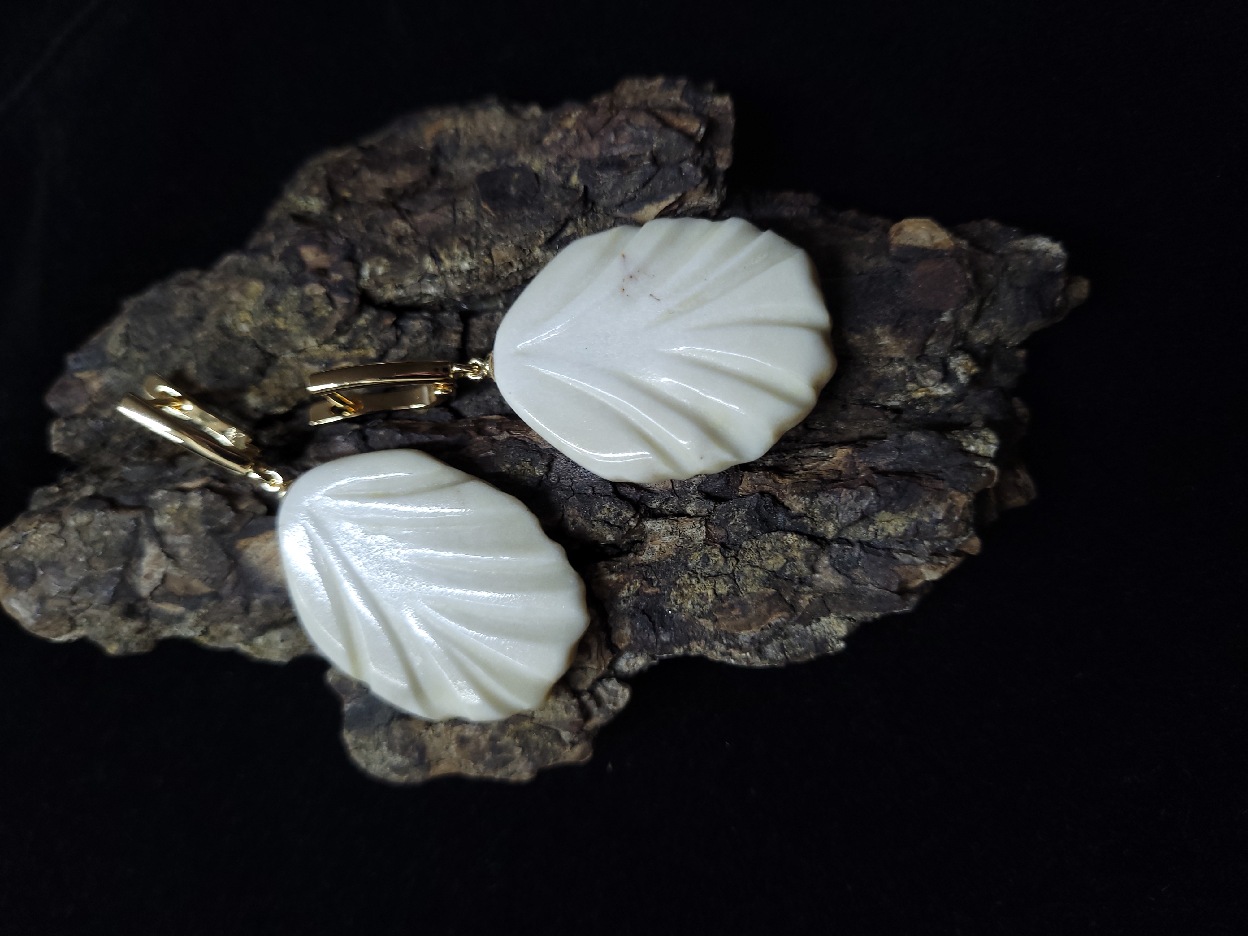 Auskarai iš briedžio rago / Moose antler eraings