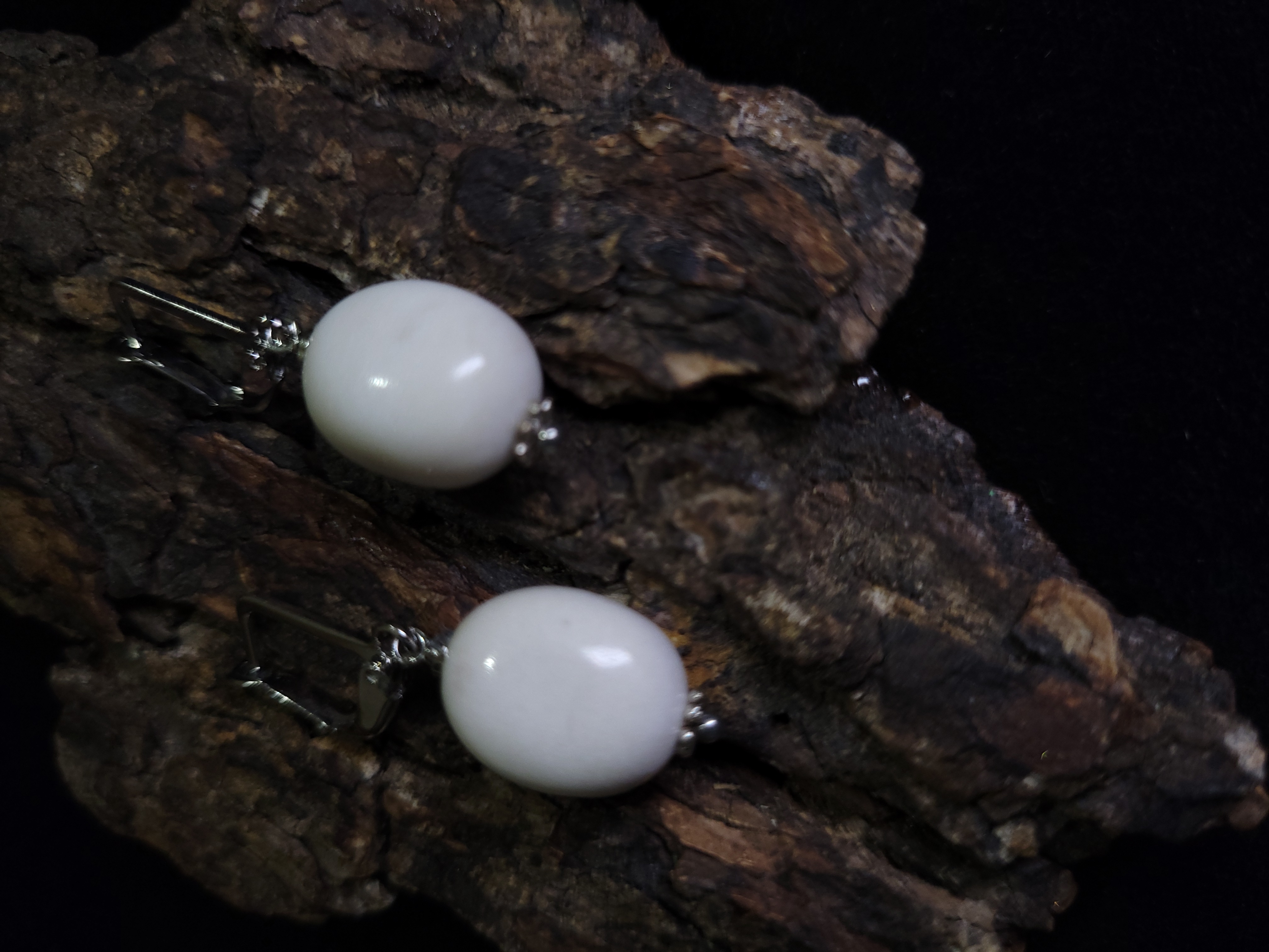 Auskarai iš briedžio rago / Moose antler earrings