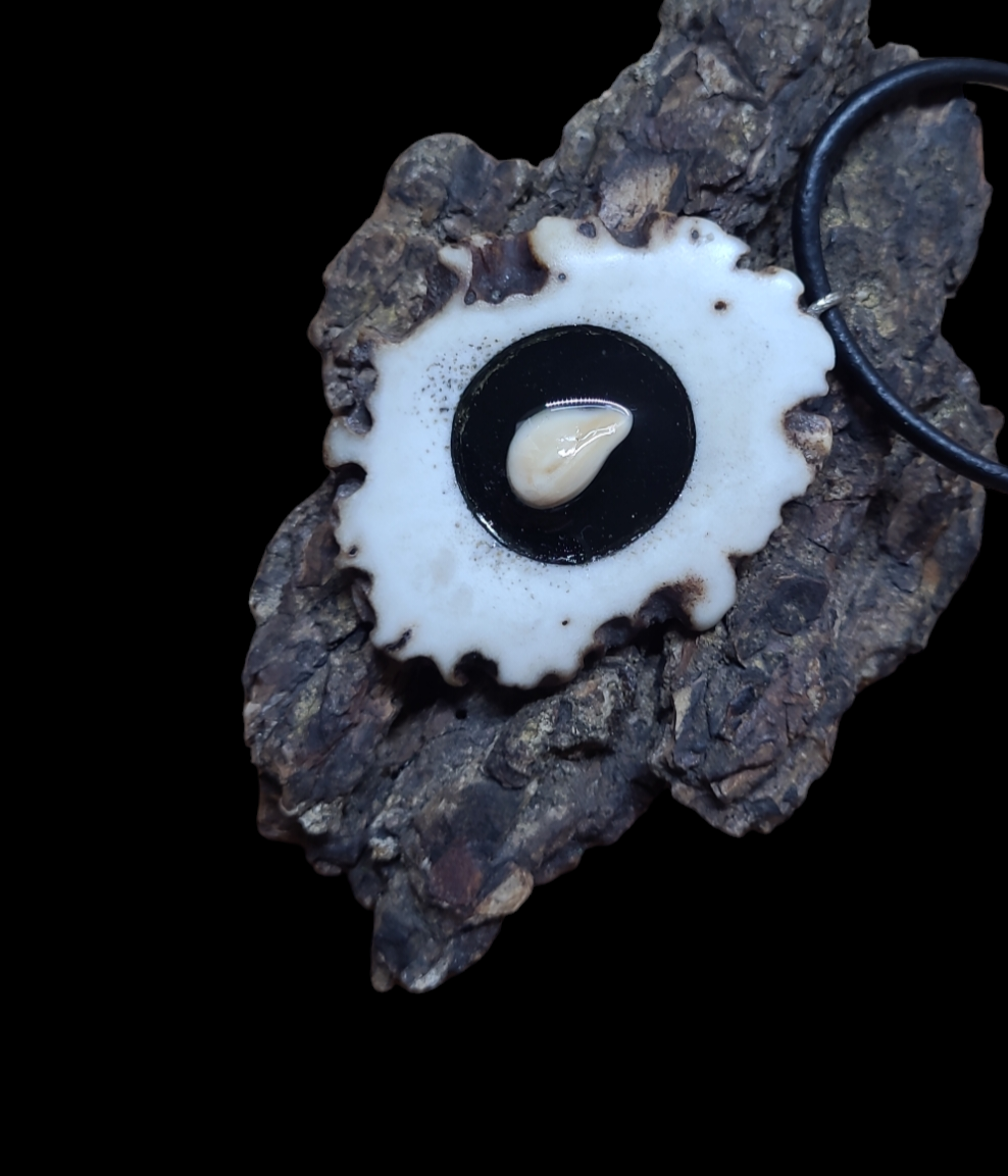 Kaklo papuošalas / Necklace