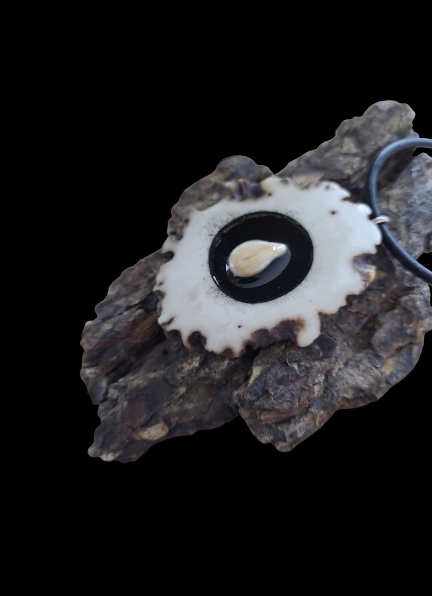 Kaklo papuošalas / Necklace
