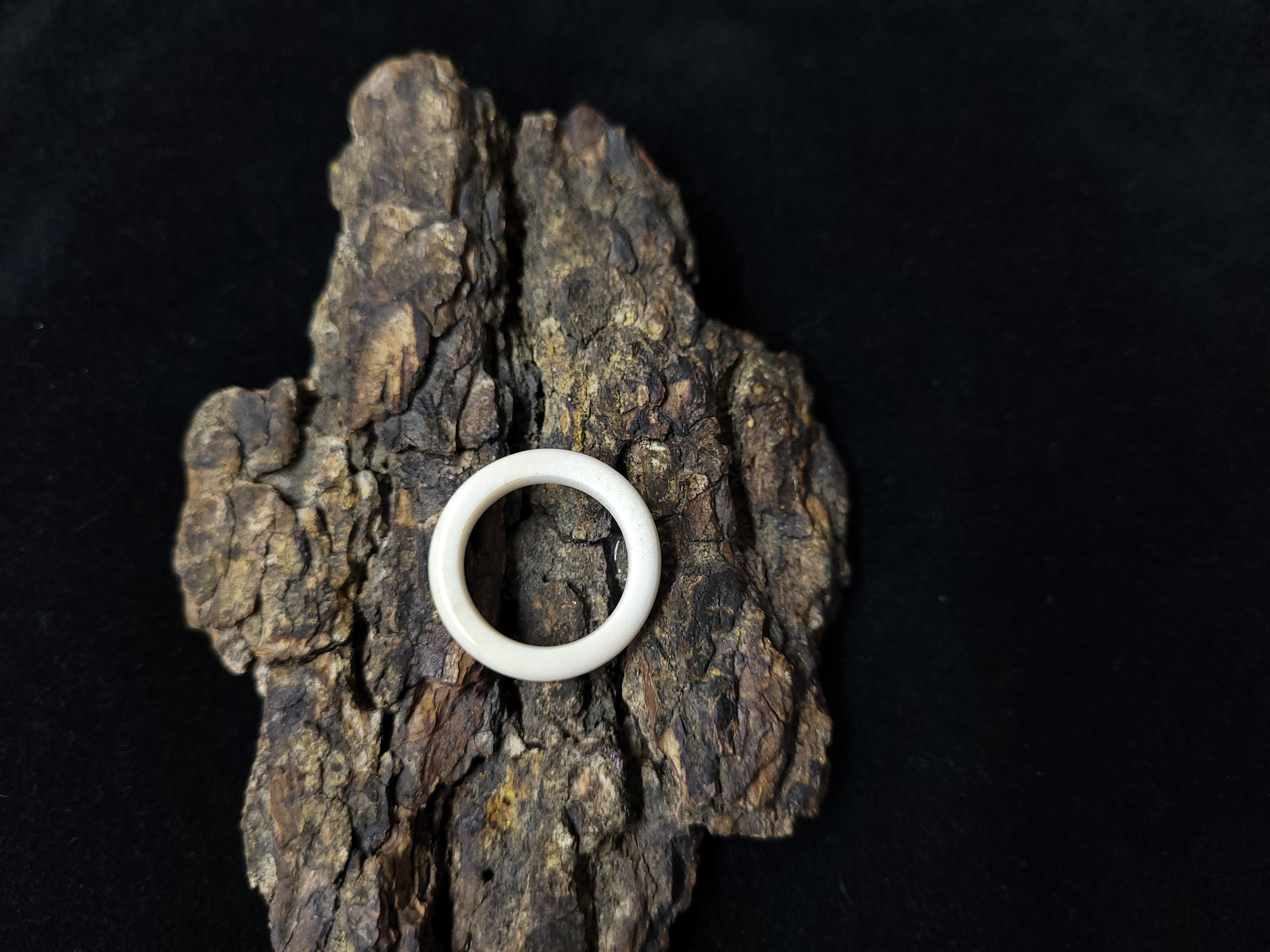 Žiedas iš briedžio rago / Moose antler ring