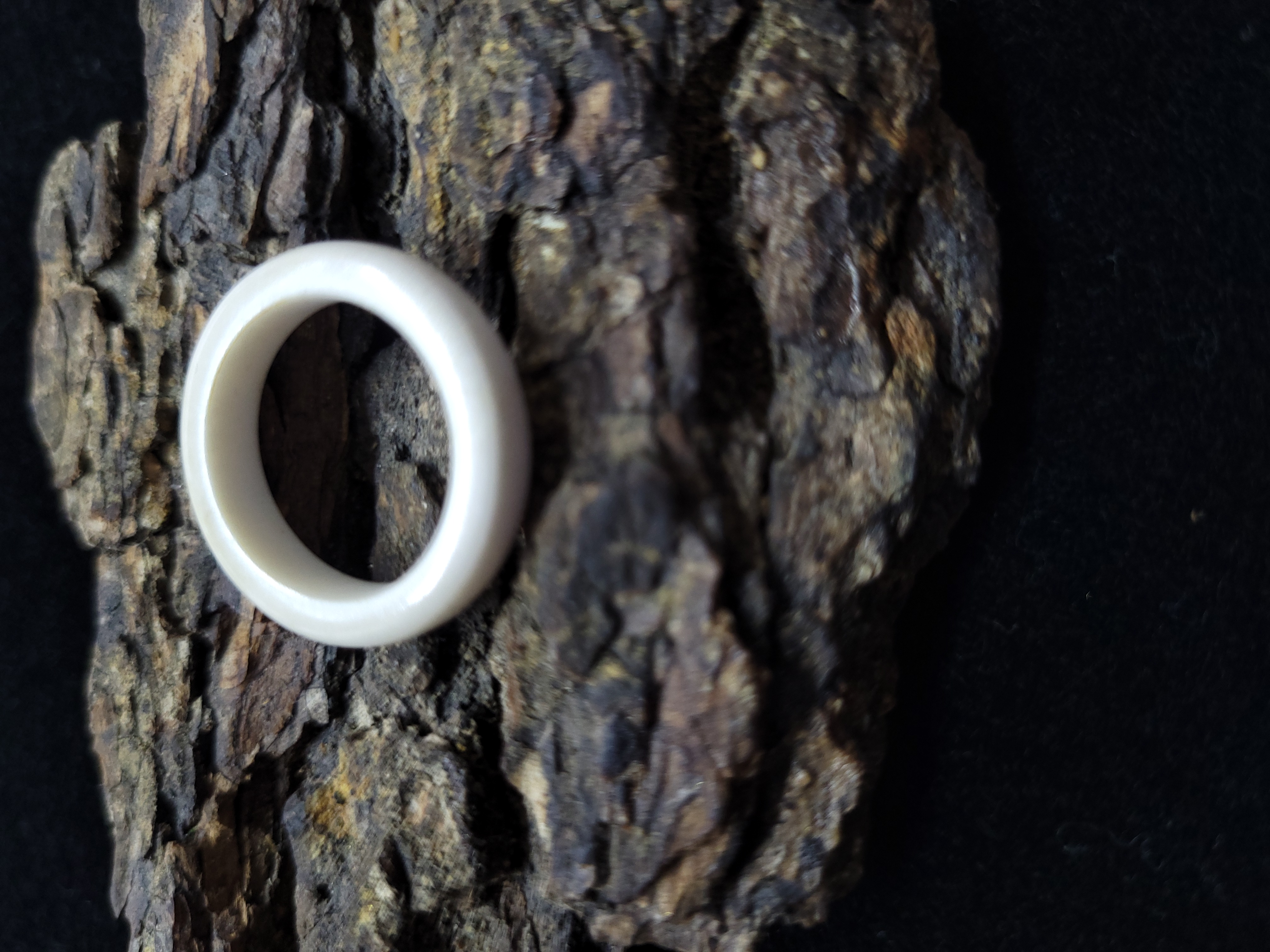 Žiedas iš briedžio rago / Moose antler ring