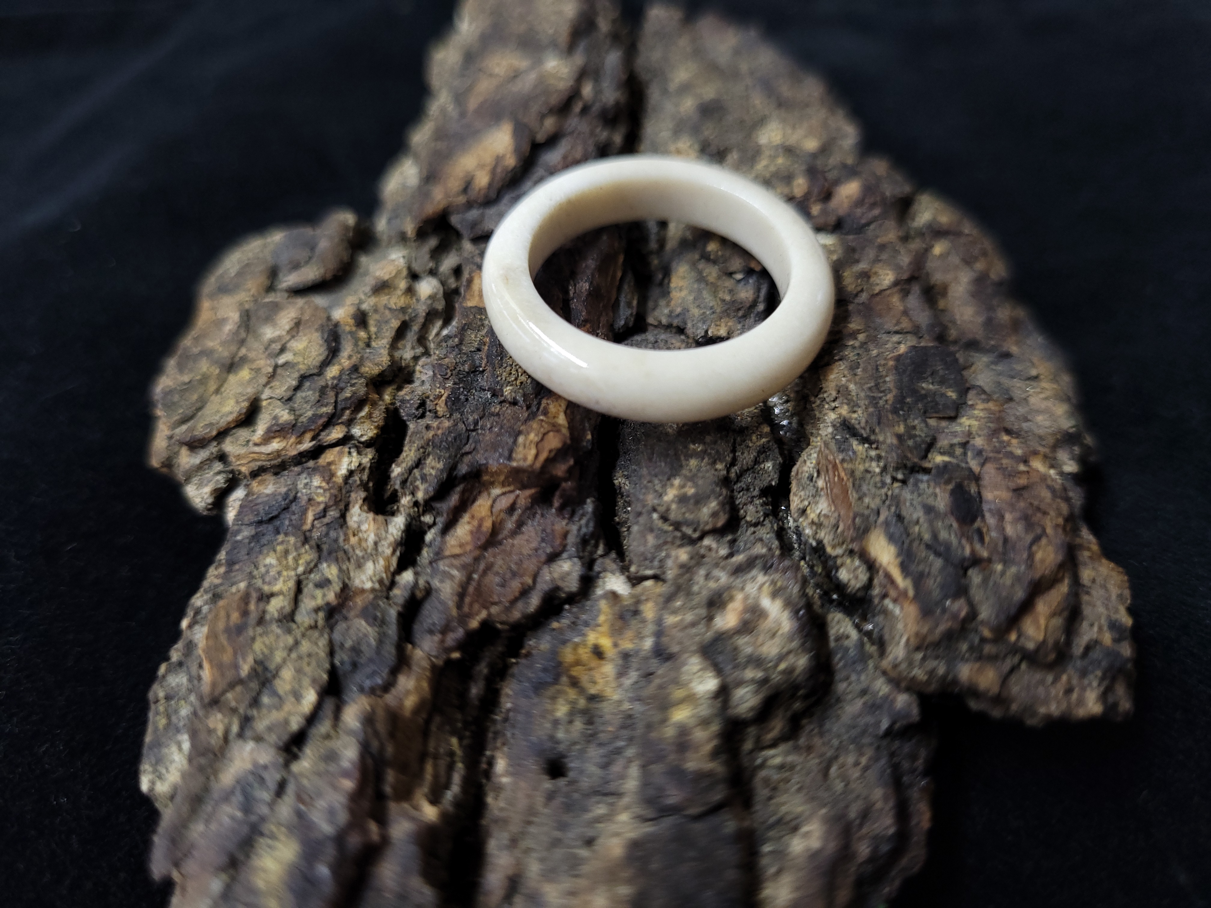 Žiedas iš briedžio rago / Moose antler ring