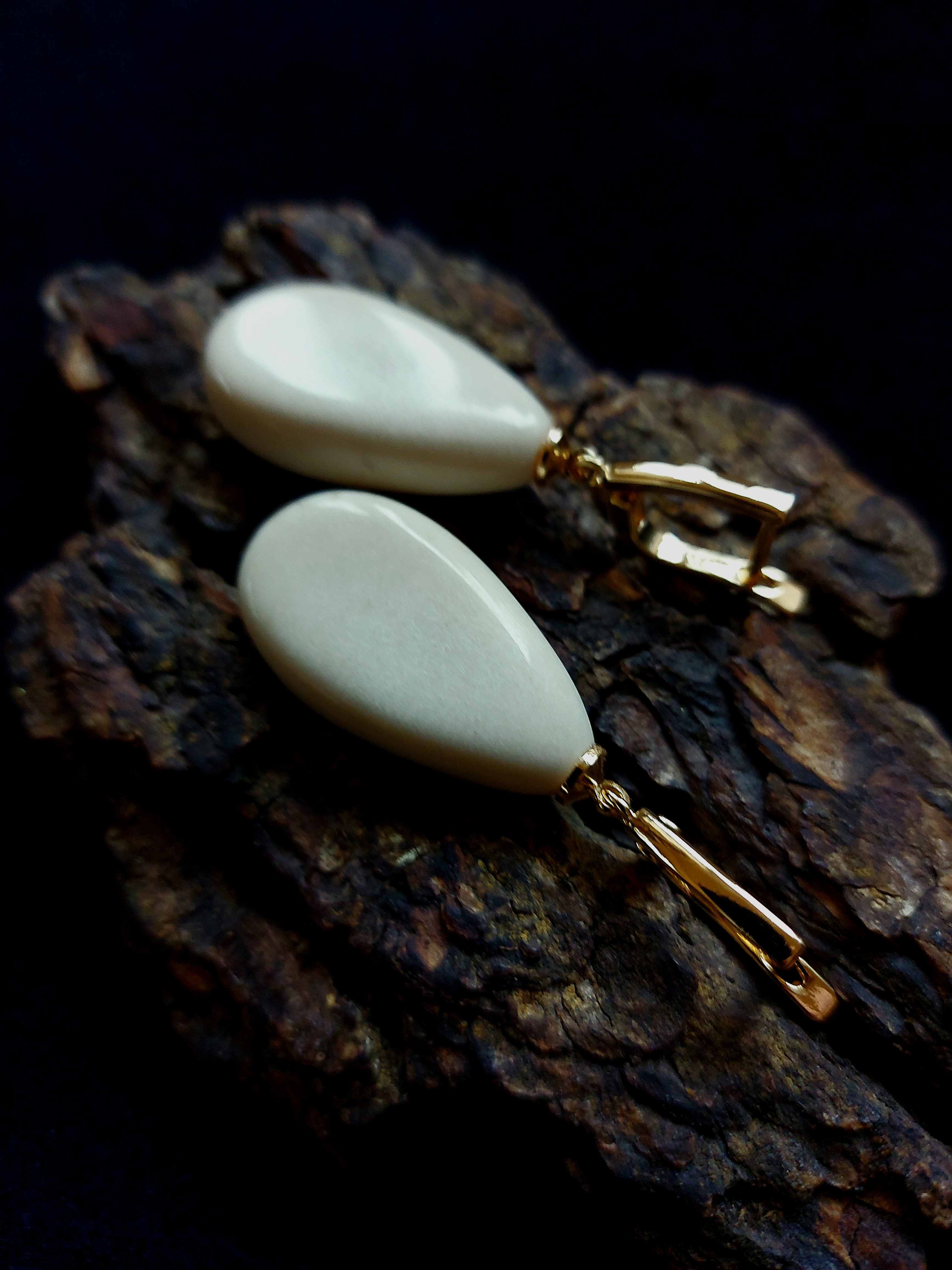 Auskarai iš briedžio rago / Moose antler earrings