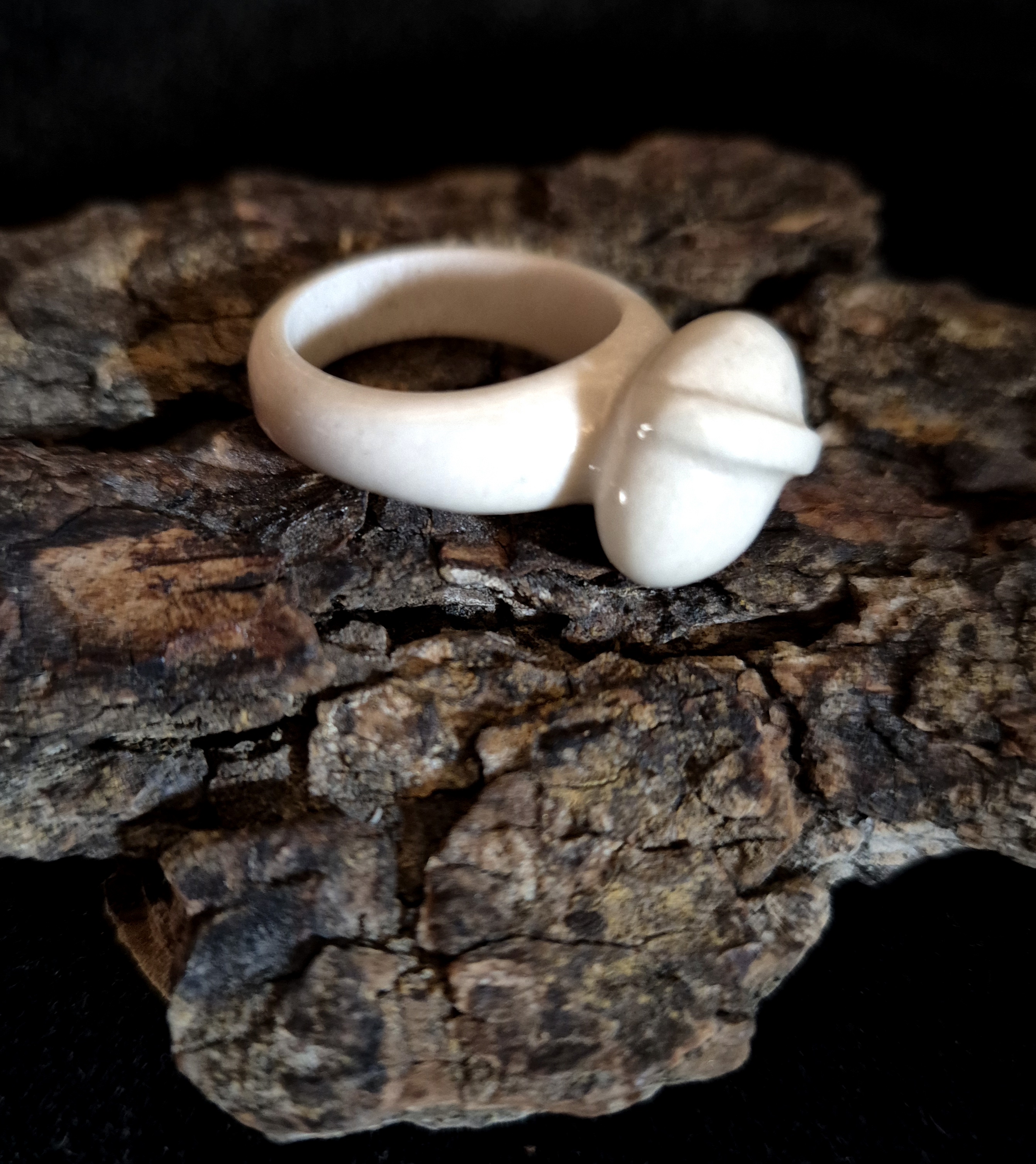 Žiedas iš briedžio rago / Moose antler ring