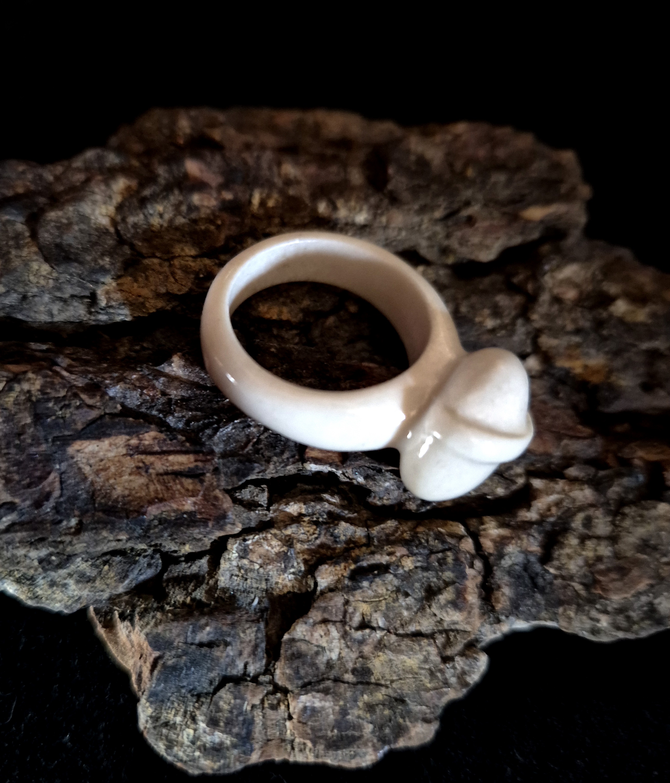 Žiedas iš briedžio rago / Moose antler ring