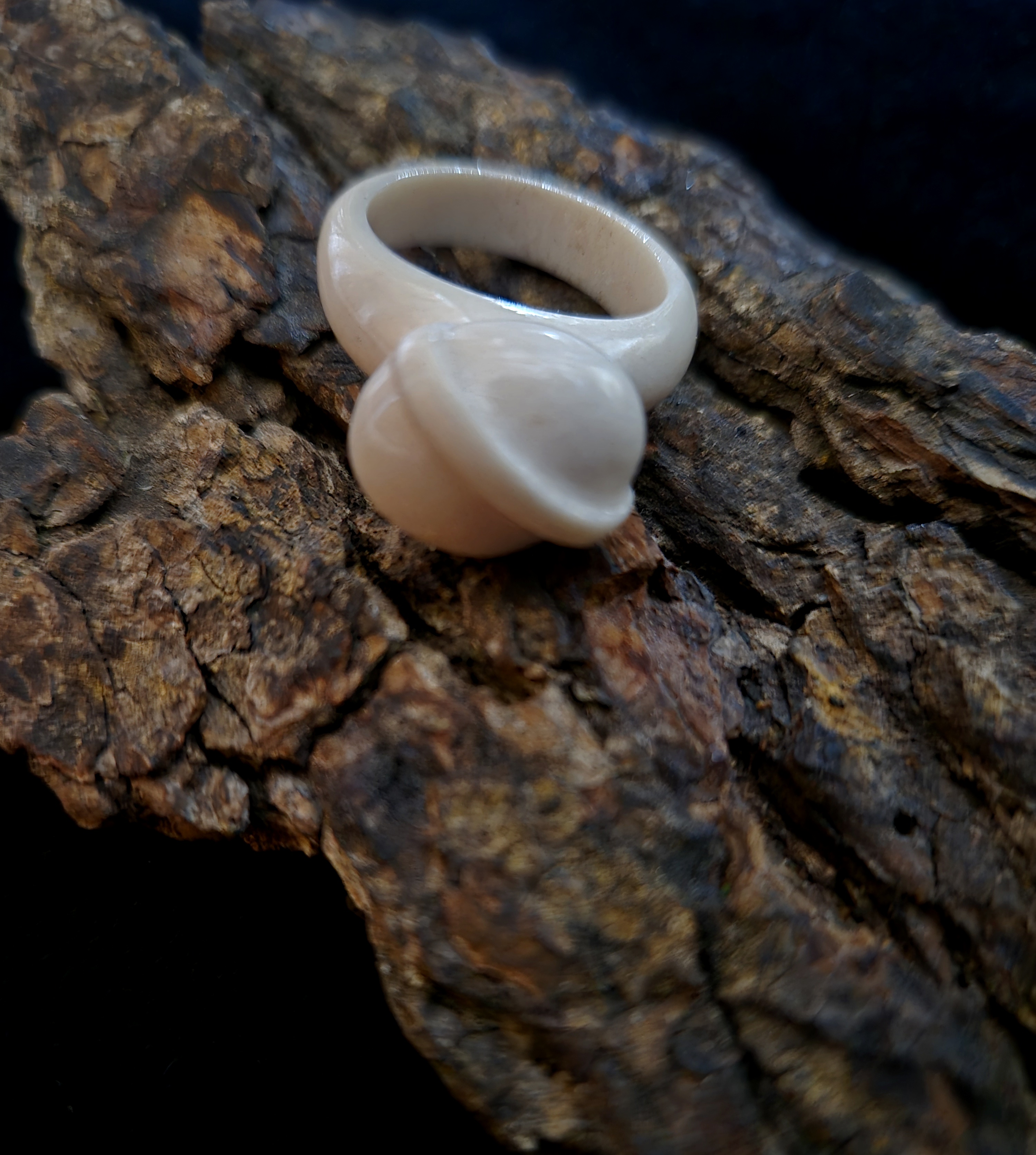 Žiedas iš briedžio rago / Moose antler ring