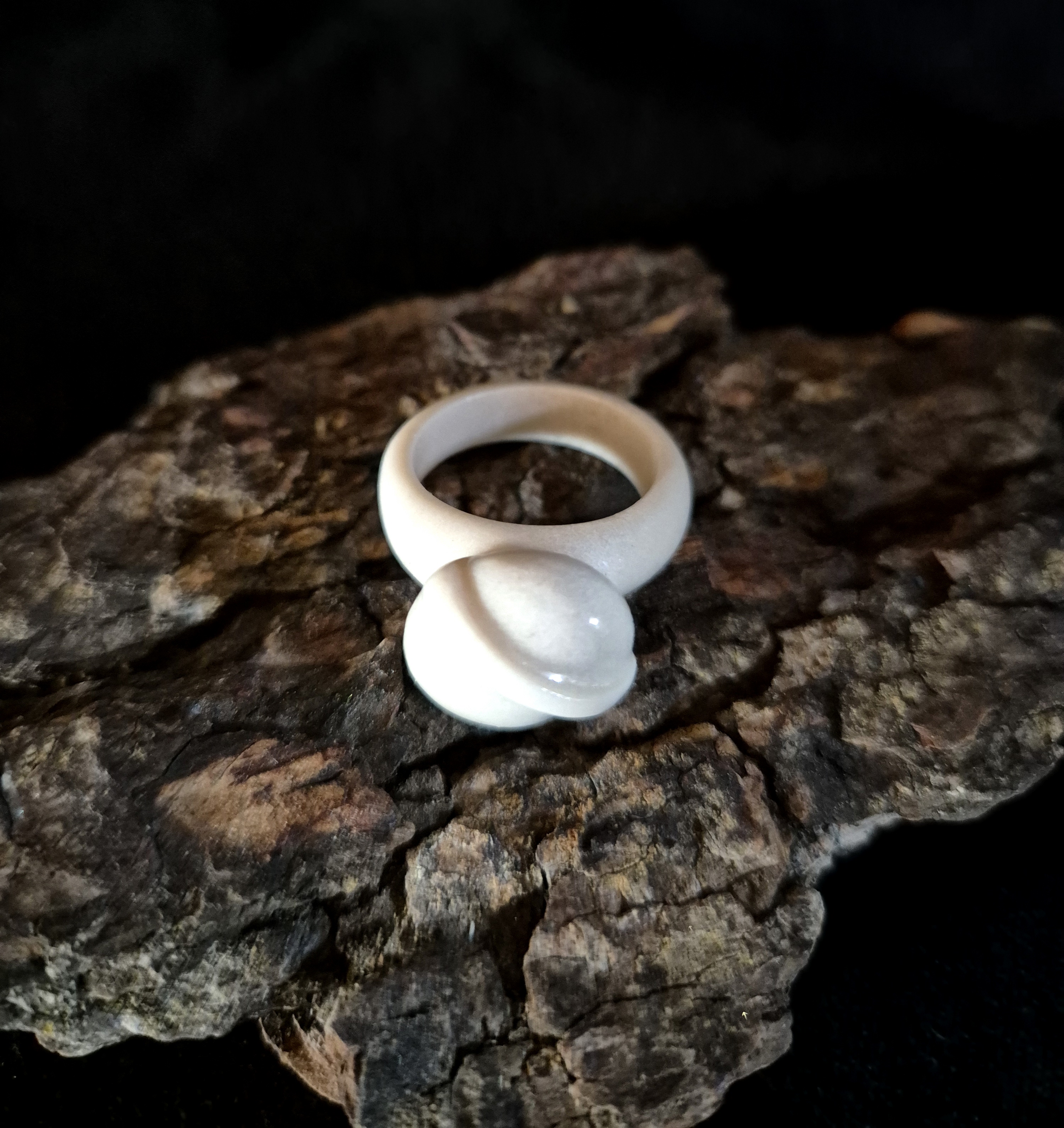 Žiedas iš briedžio rago / Moose antler ring