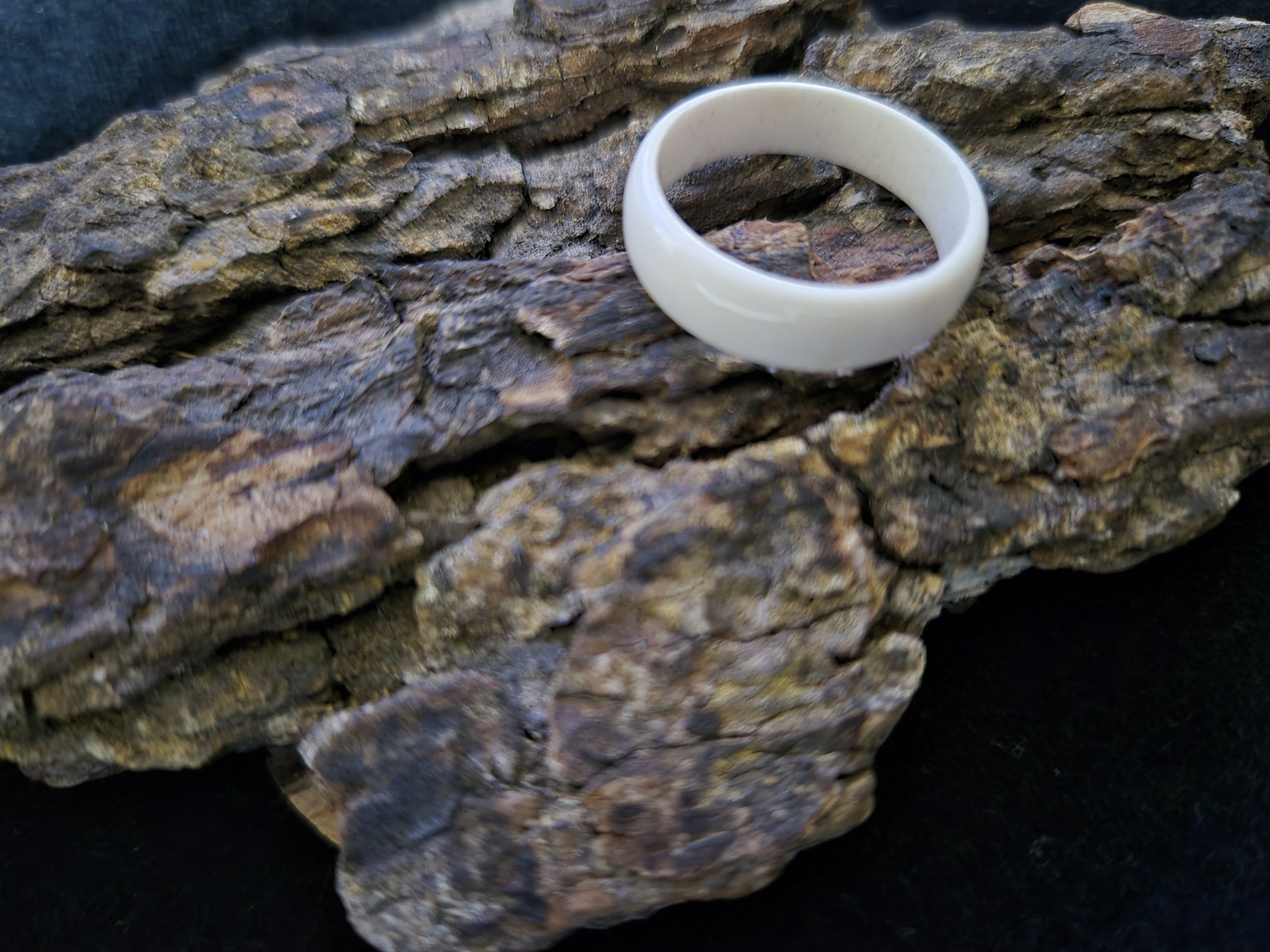Žiedas iš briedžio rago / Moose antler ring