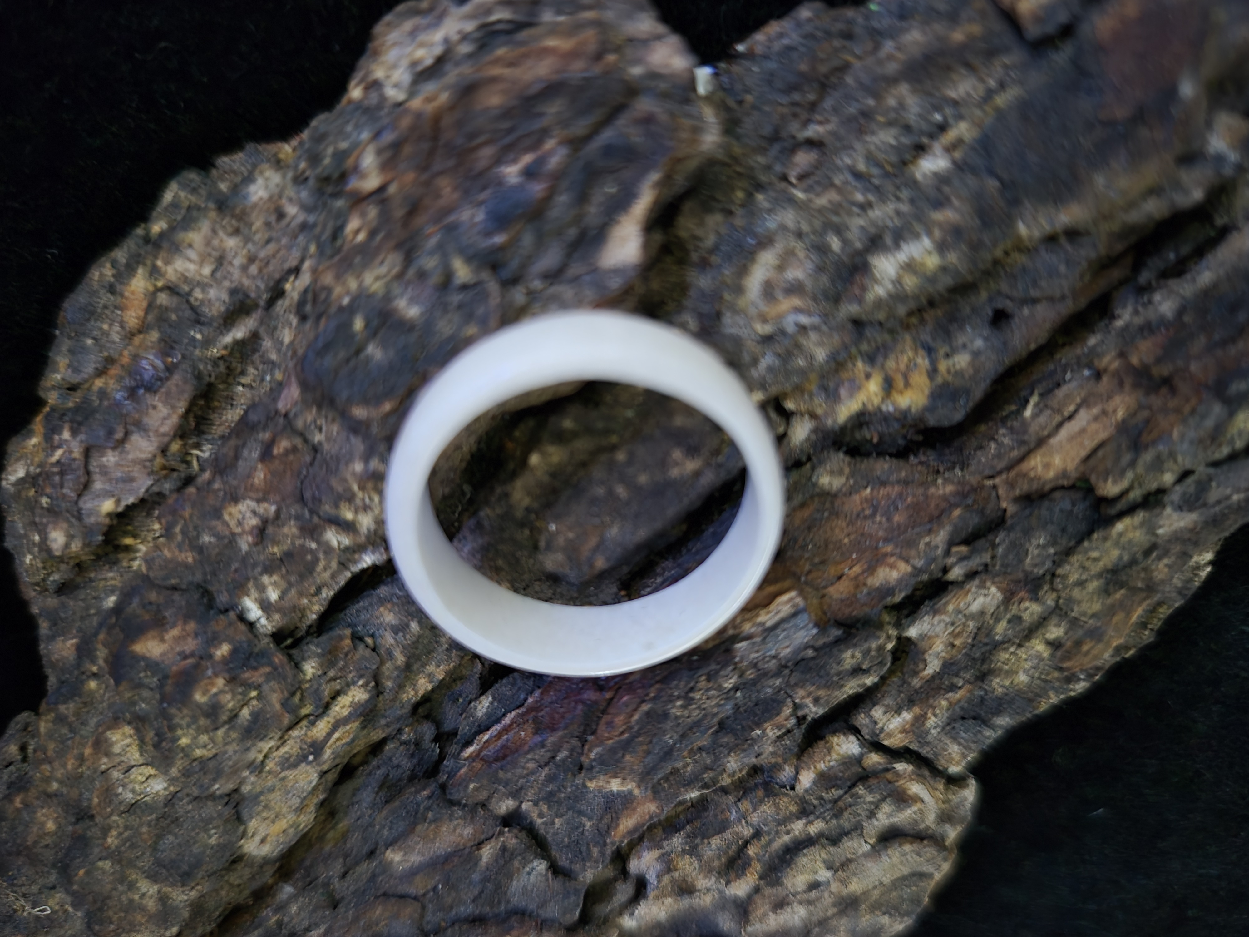 Žiedas iš briedžio rago / Moose antler ring