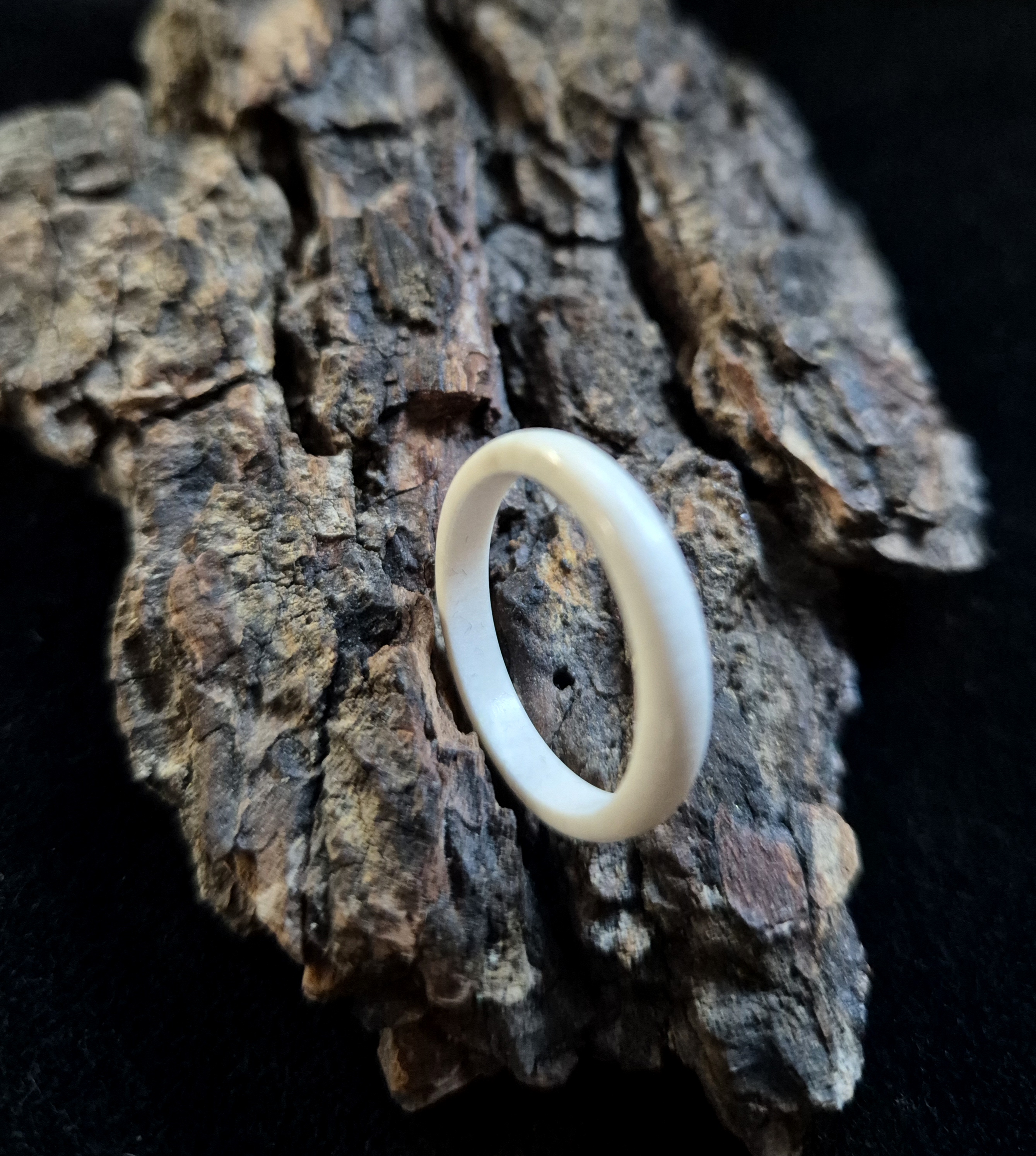 Žiedas iš briedžio rago / Moose antler ring