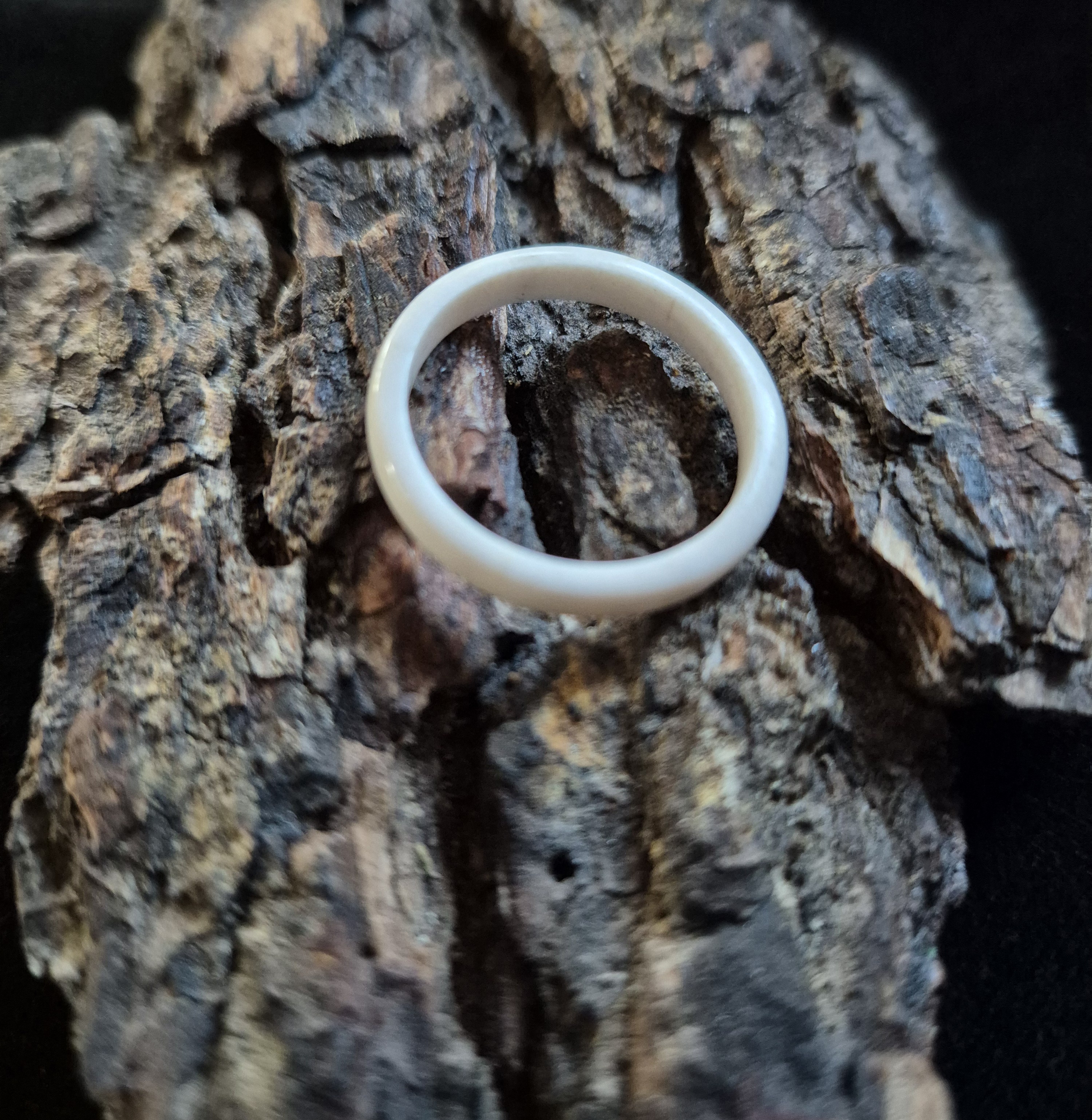 Žiedas iš briedžio rago / Moose antler ring