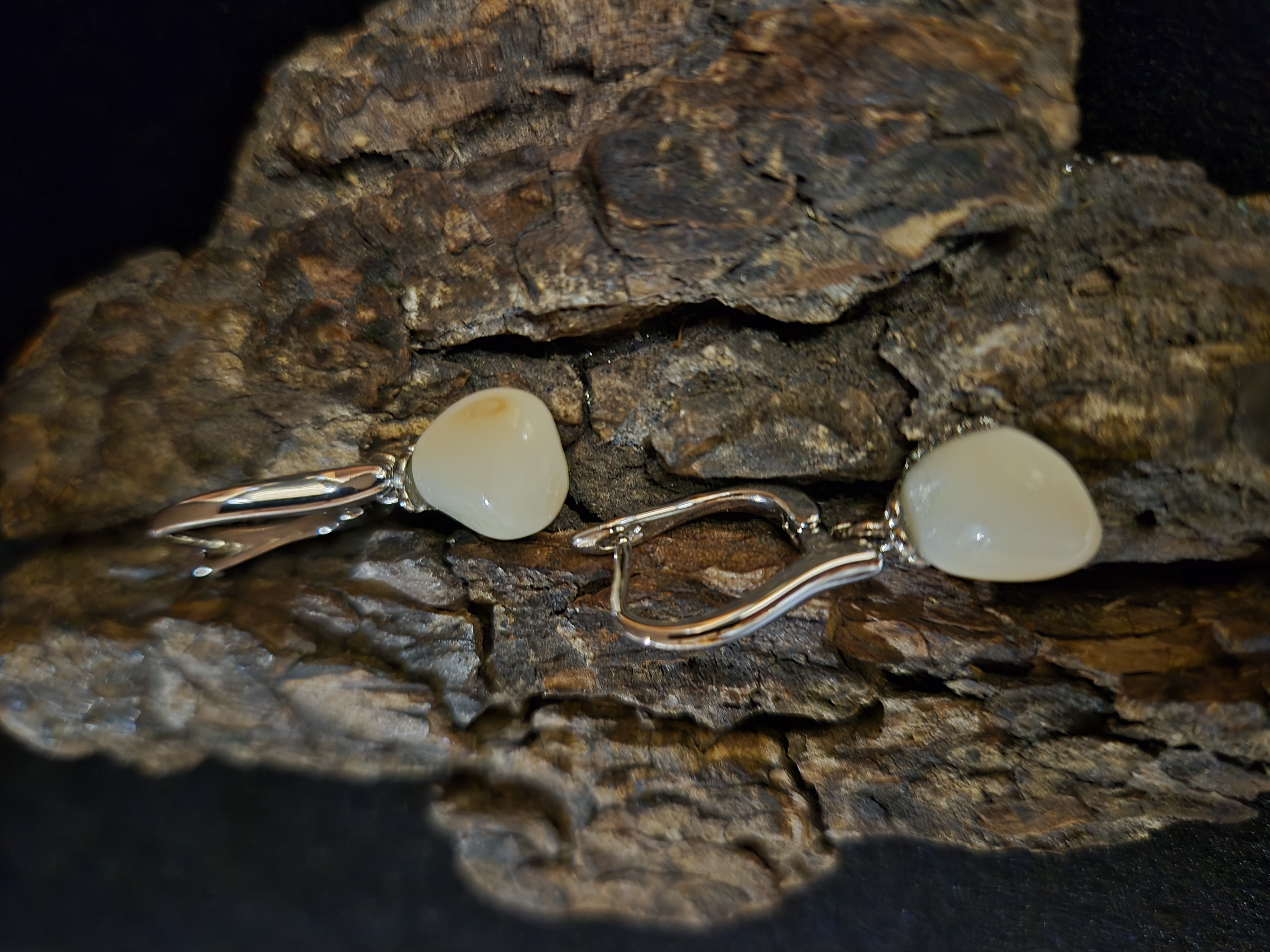 Auskarai iš tauriojo elnio dantų - ,,perlų" /Earrings of red deer teeth - "pearls" 