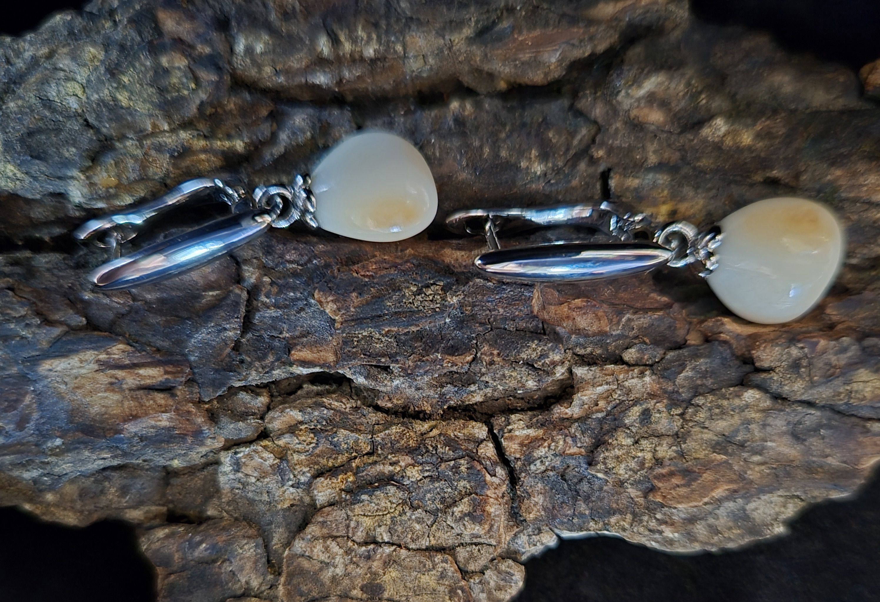 Auskarai iš tauriojo elnio dantų - ,,perlų" / Earrings of red deer teeth - "pearls"