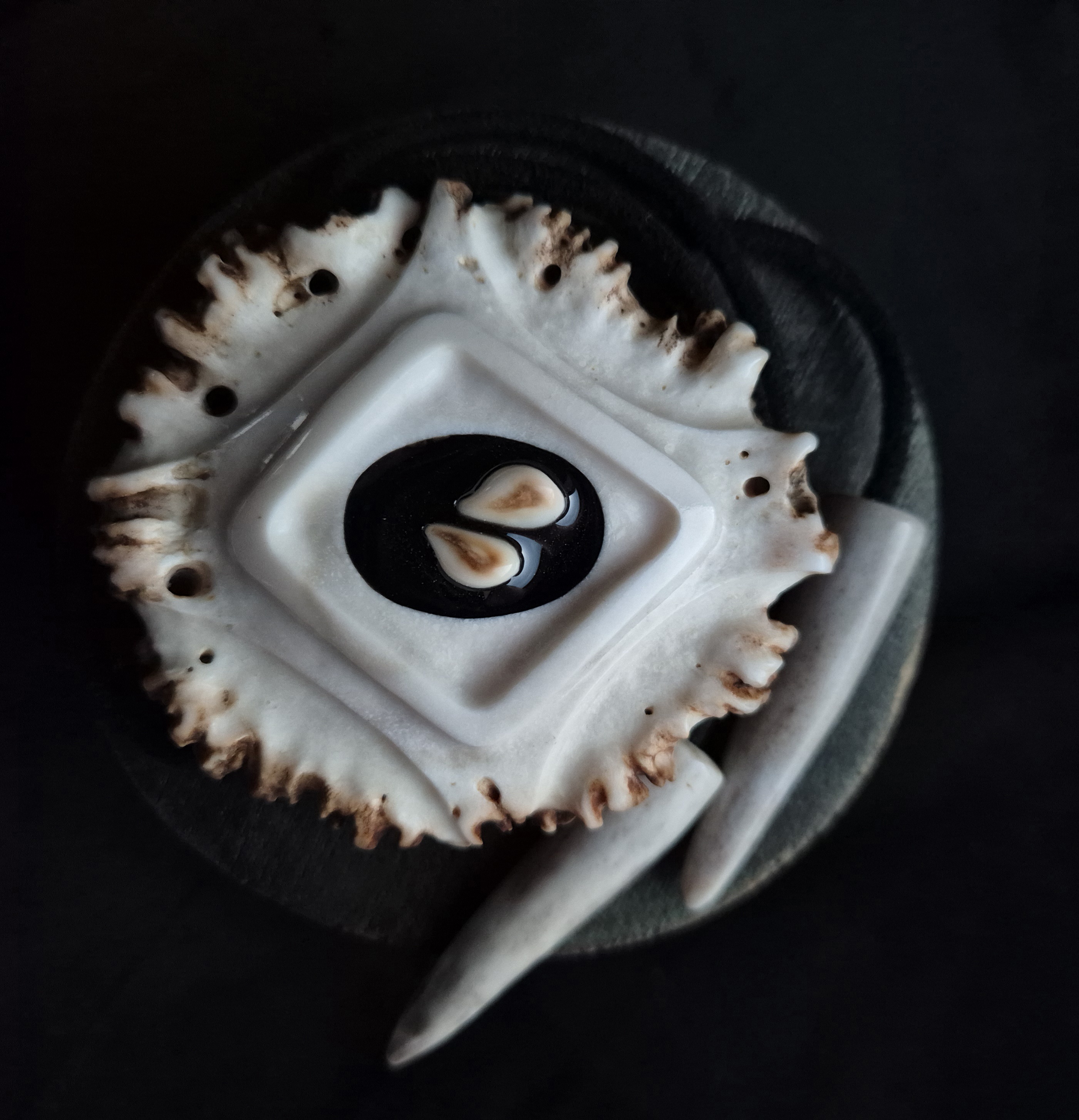 Kaklajuostė medžiotojui / Necklace for a hunter