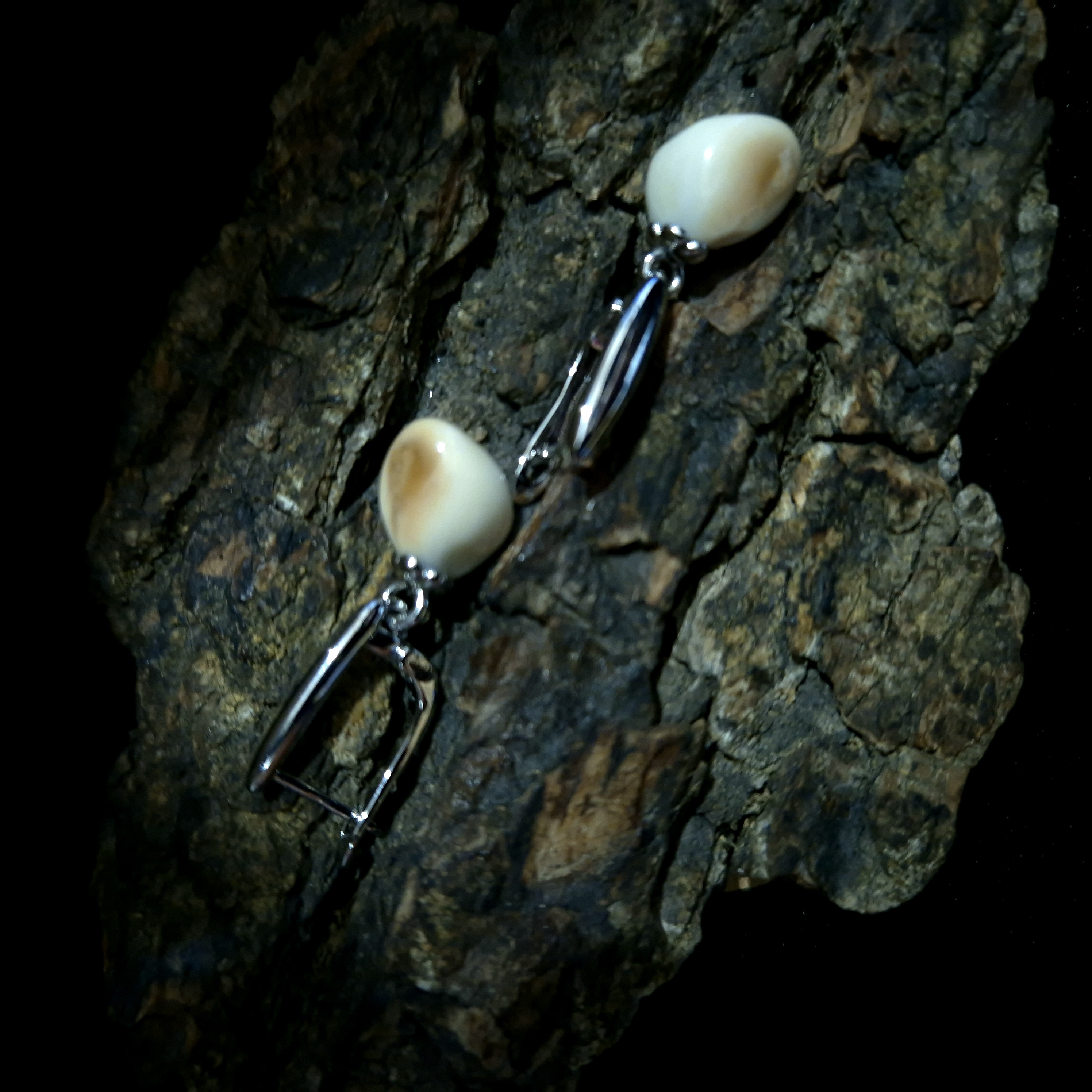 Auskarai iš tauriojo elnio dantų - ,,perlų" / Earrings of red deer teeth - ,,pearls"