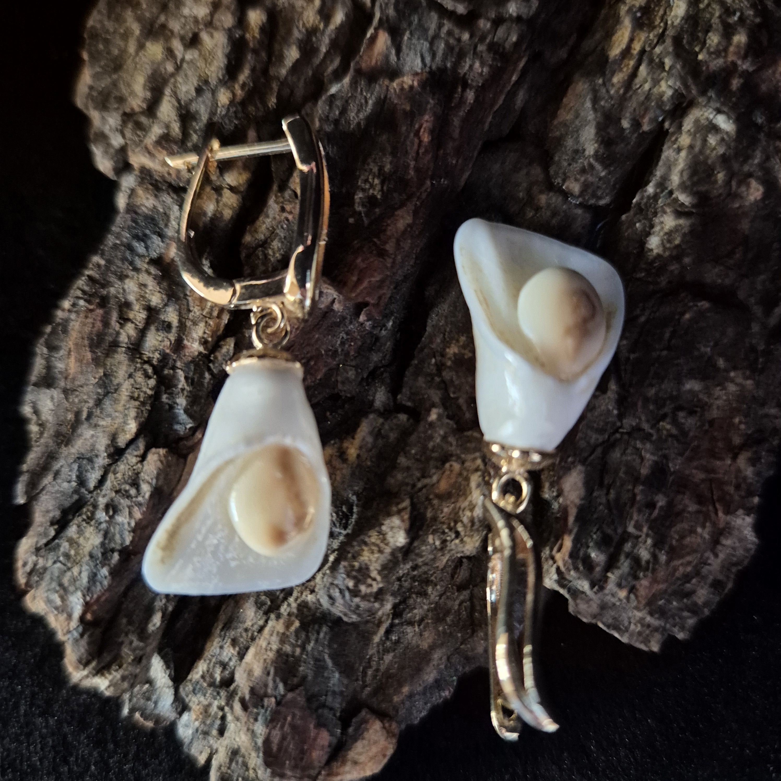Auskarai iš tauriojo elnio dantų / Earrings of red deer teeth