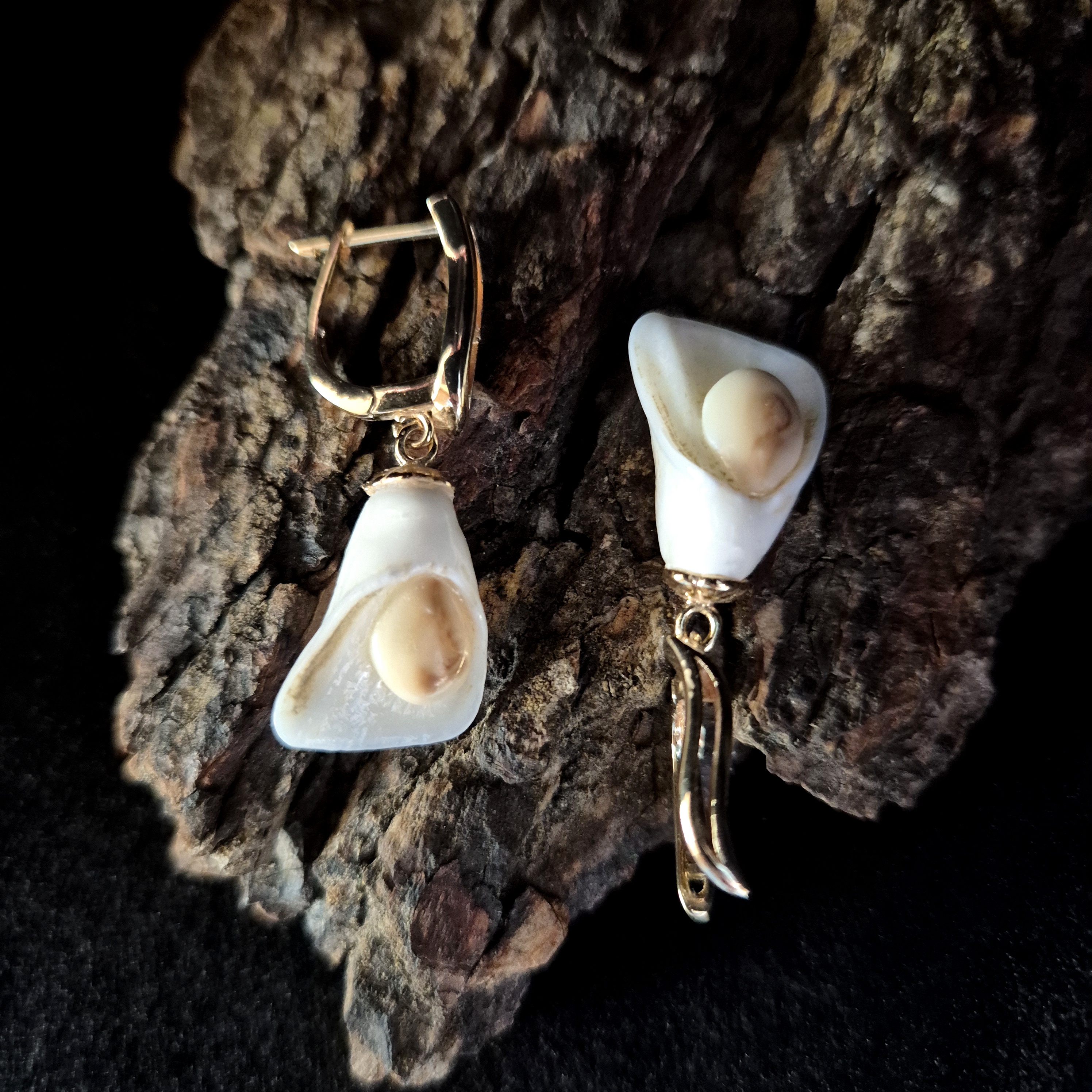 Auskarai iš tauriojo elnio dantų / Earrings of red deer teeth