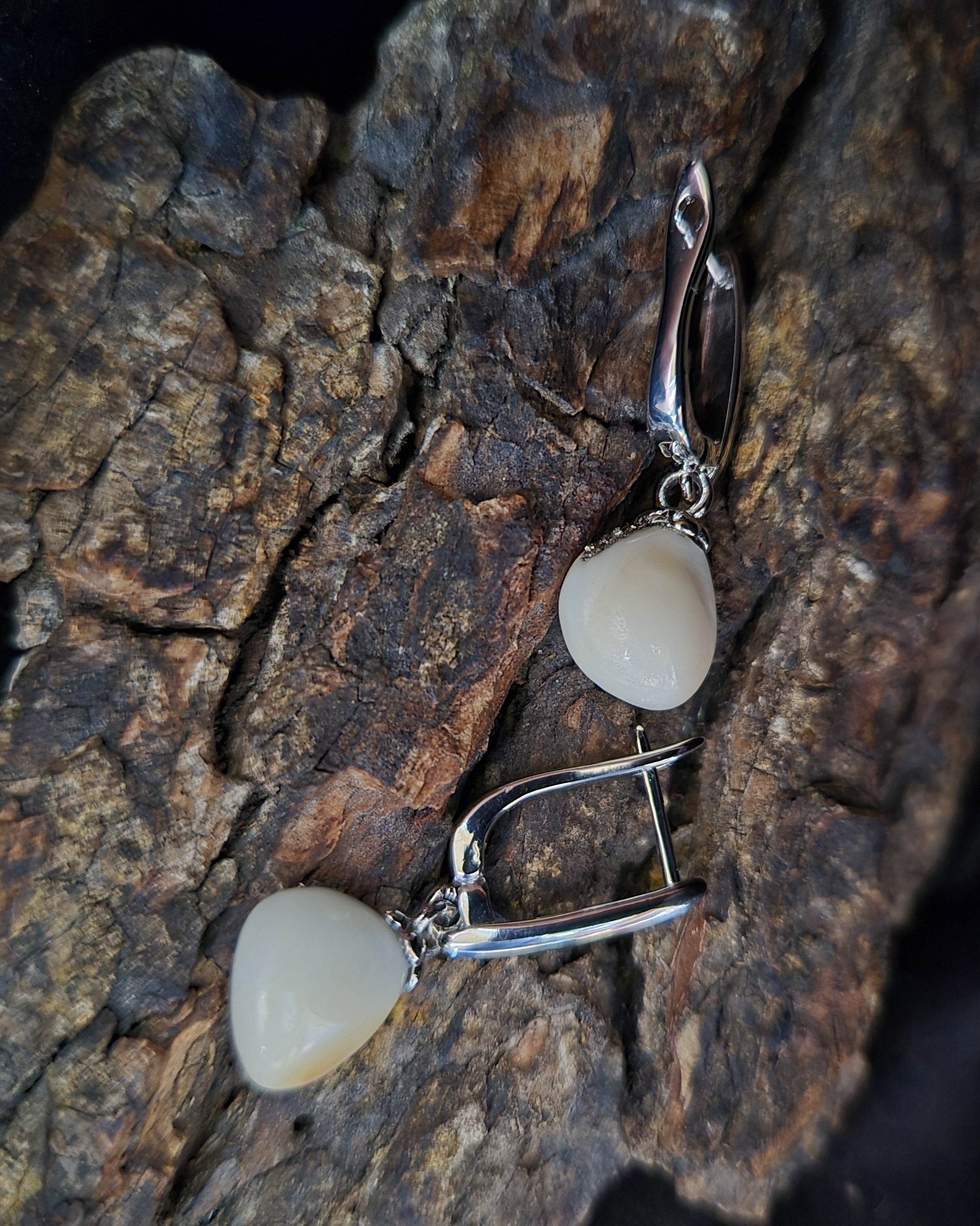 Auskarai iš tauriojo elnio dantų - ,,perlų" / Earrings of red deer teeth - "pearls"