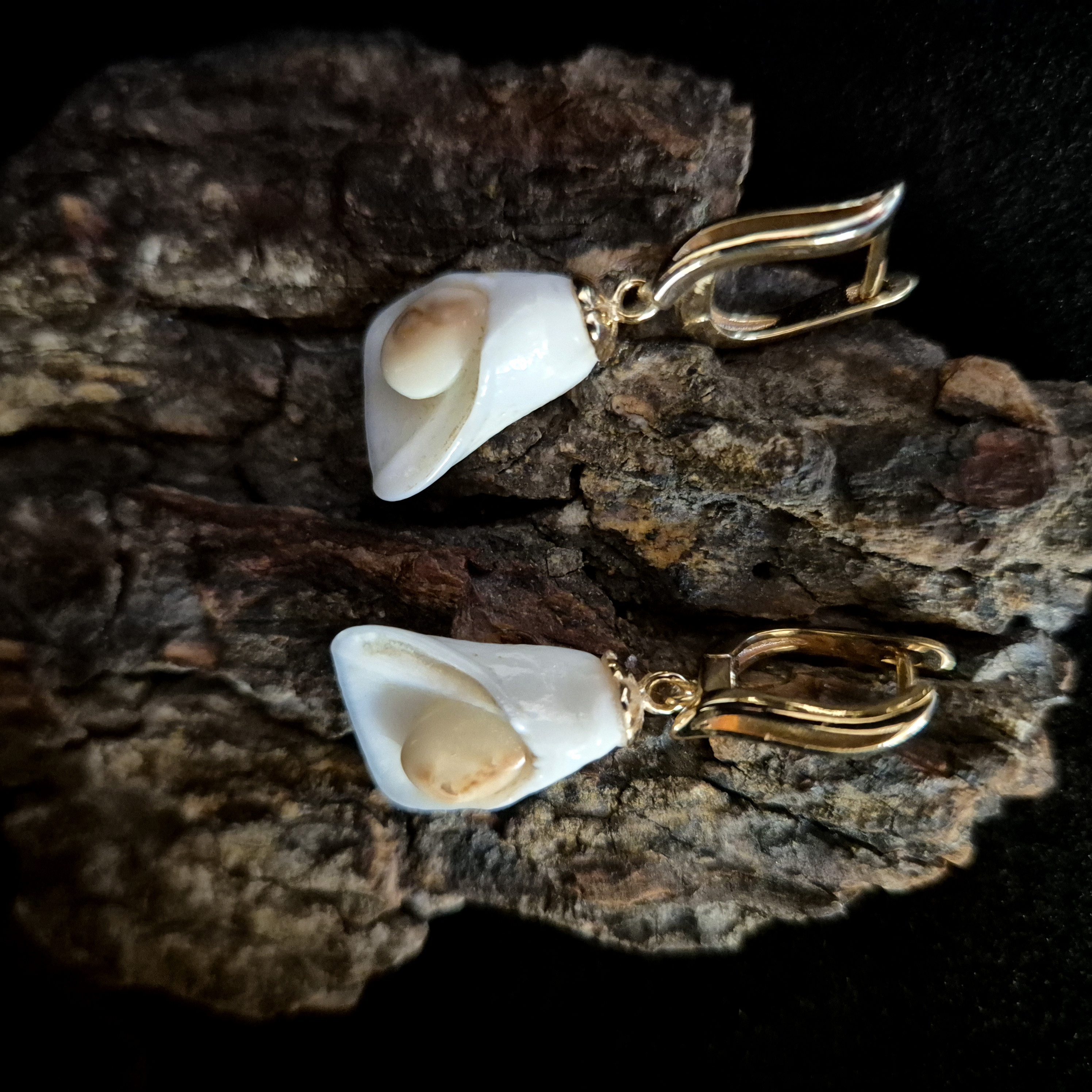 Auskarai iš tauriojo elnio dantų / Earrings of red deer teeth