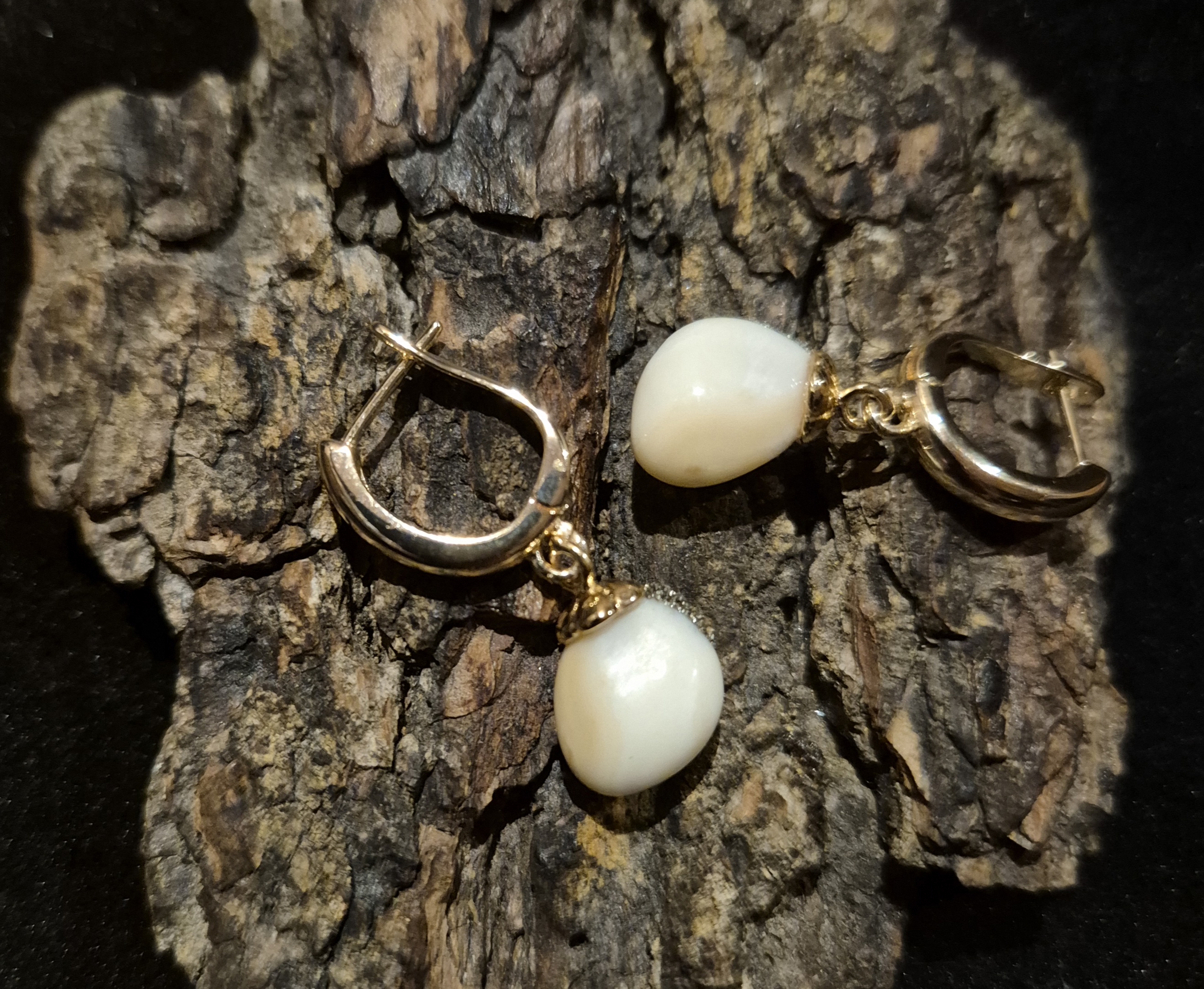 Auskarai iš tauriojo elnio dantų - ,,perlų" / Earrings of red deer teeth - ,,pearls"