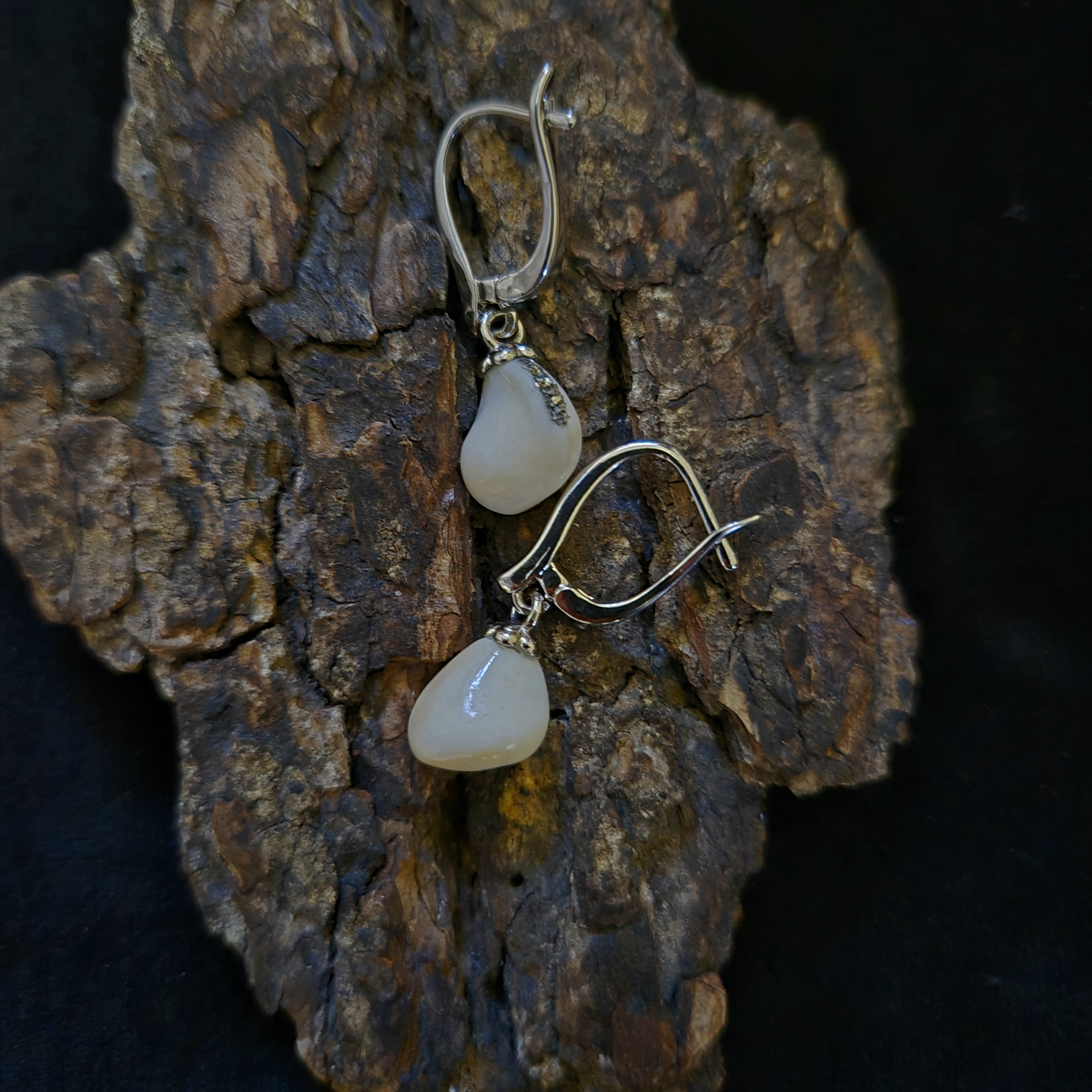 Auskarai iš tauriojo elnio dantų - ,,perlų" / Earrings of red deer teeth - ,,pearls"