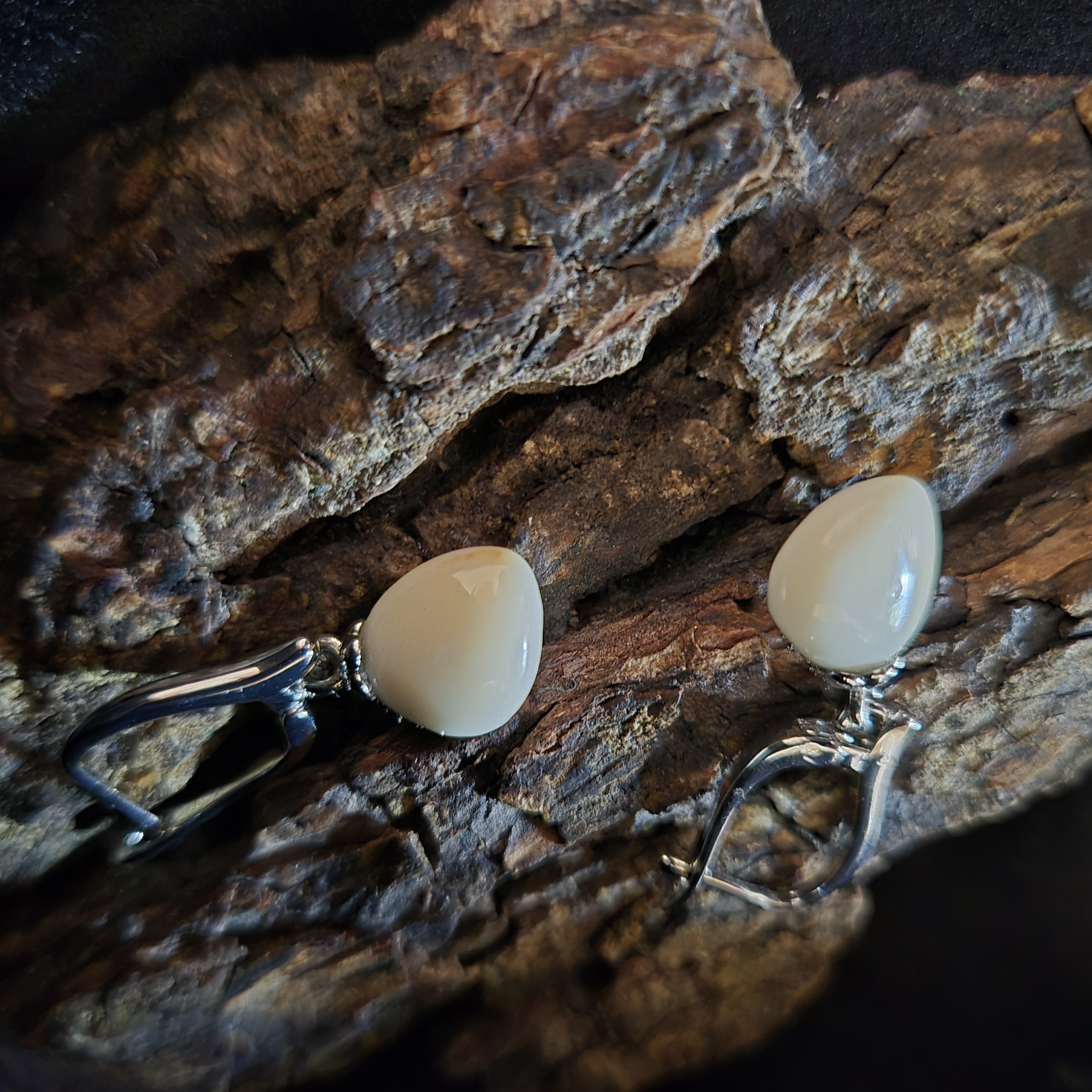 Auskarai iš tauriojo elnio dantų - ,,perlų" / Earrings of red deer teeth - "pearls"