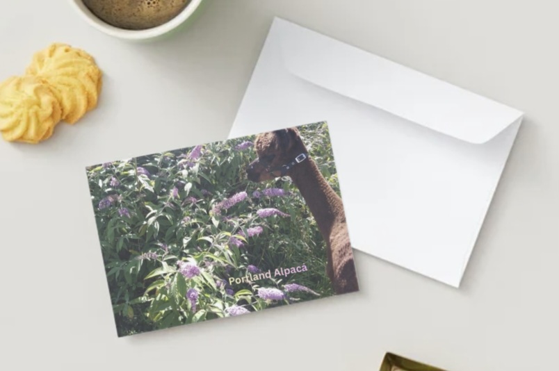 Portland Alpaca Postcard
