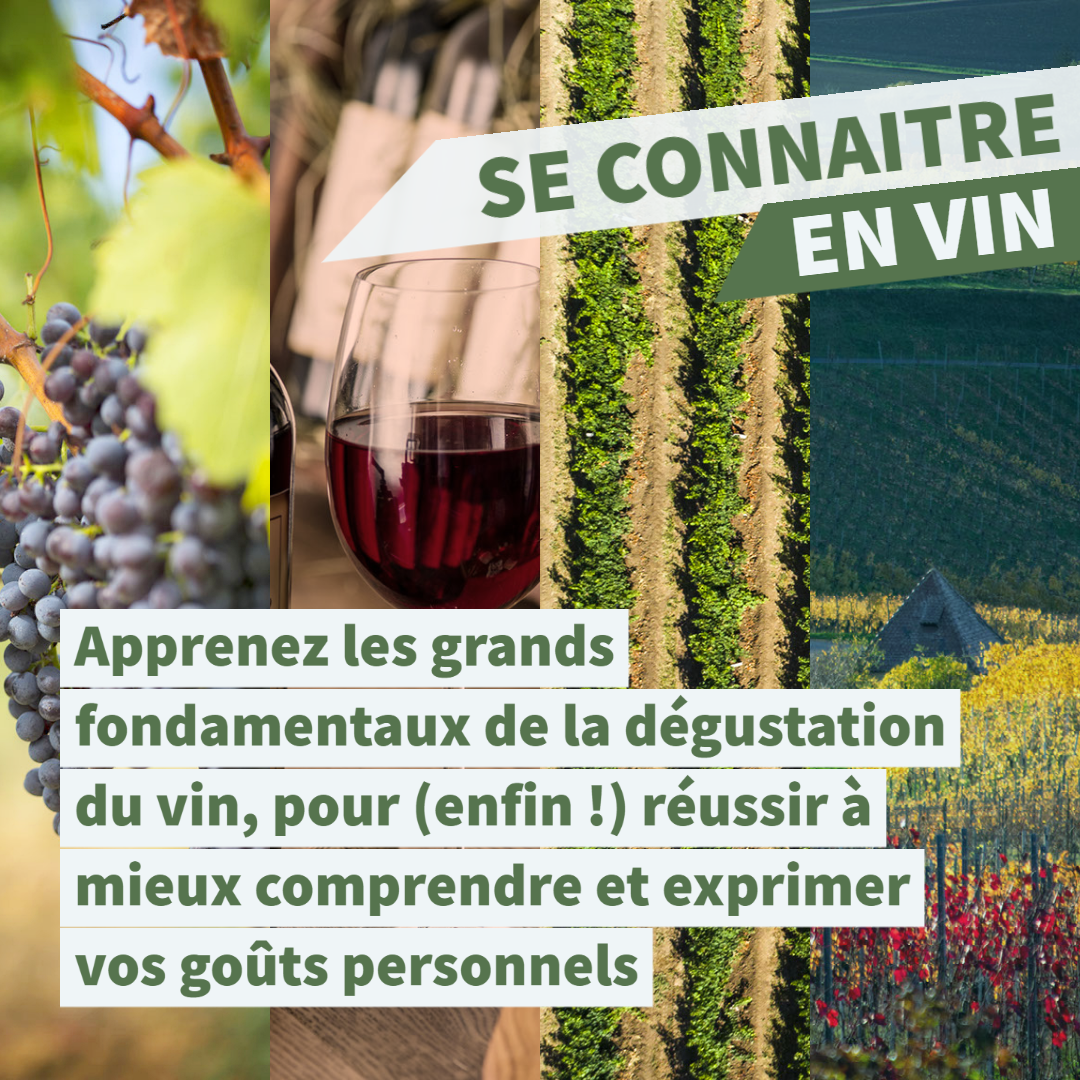 Se connaitre en vin