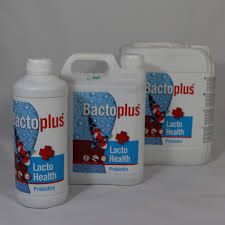 Bactoplus Lacto Health