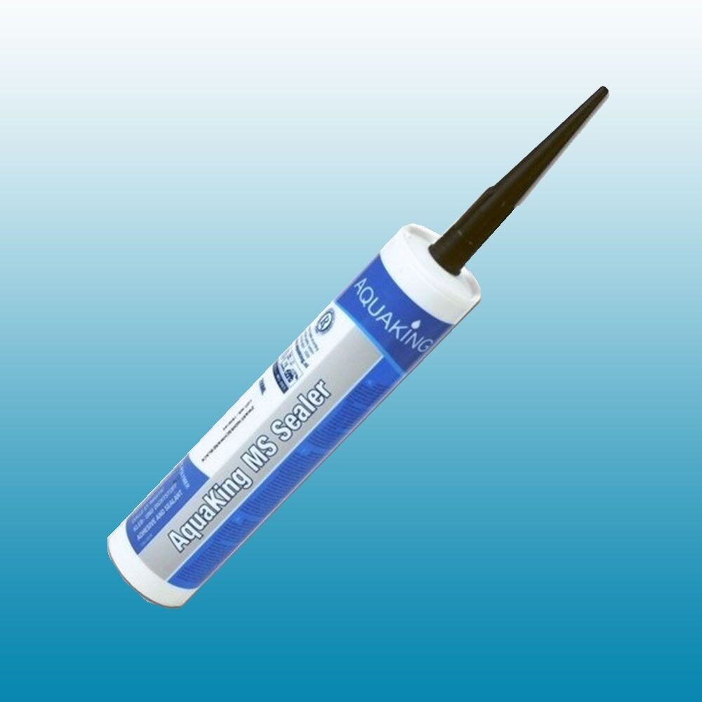 Aquaking MS NOIR Sealer (silicone pour bassin)
