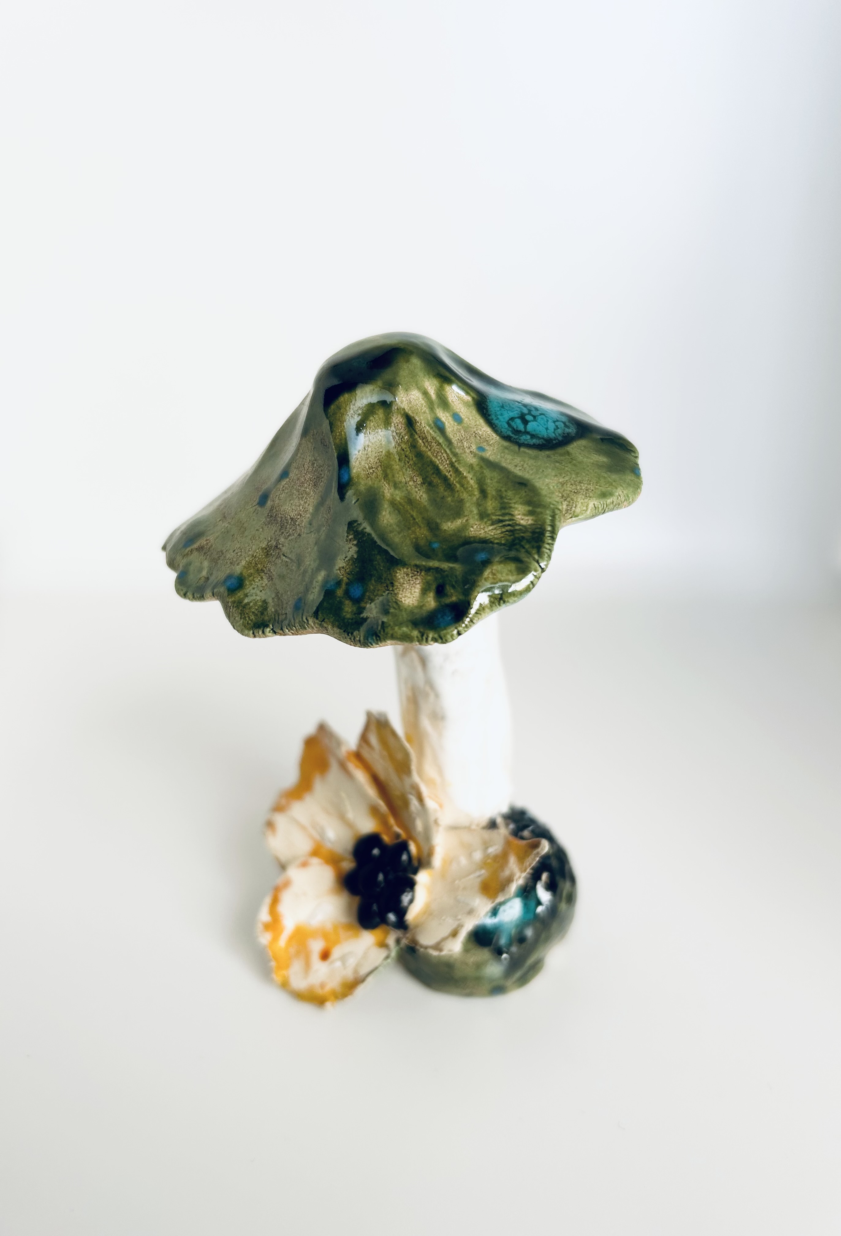 CHAMPIGNON " reflet du lac "